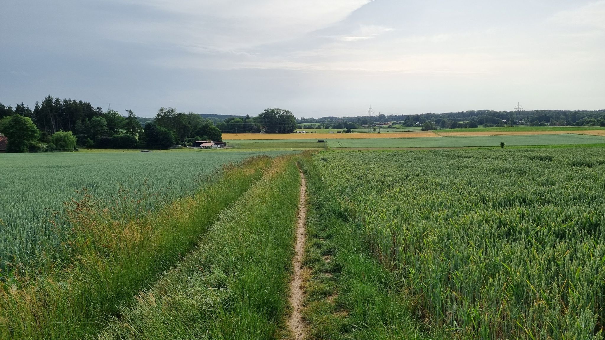 einspurig zur nächsten Kachel....