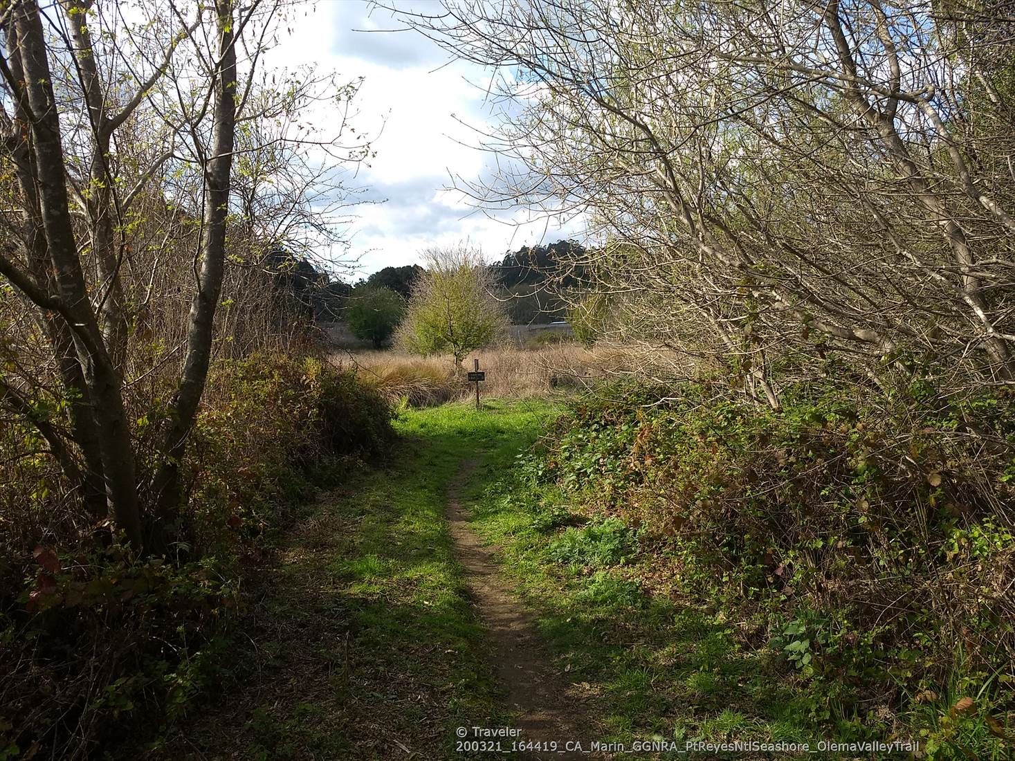 A narrow path through green brush leads to a distant field under a cloudy sky. - Teixeira Trail and Pablo Point Trail