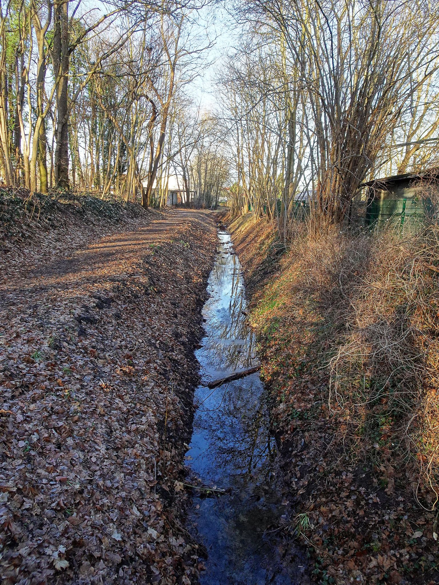 Zufluss zum Fredersdorfer Mühlenfließ