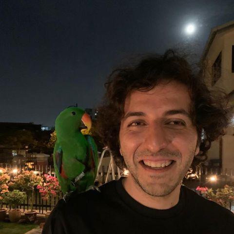 user avatar