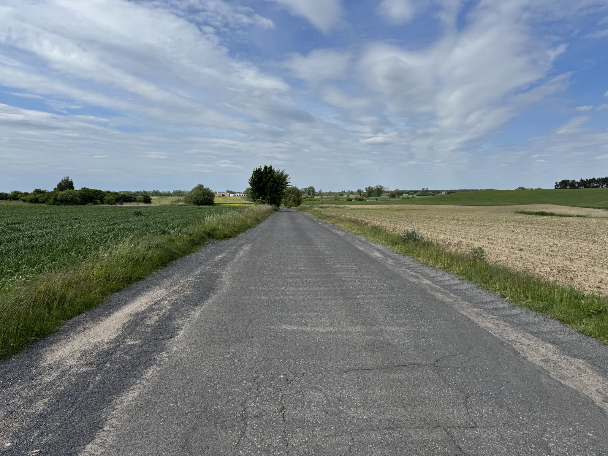 Ceradz Kościelny - Gaj Wielki - asfaltowy odcinek