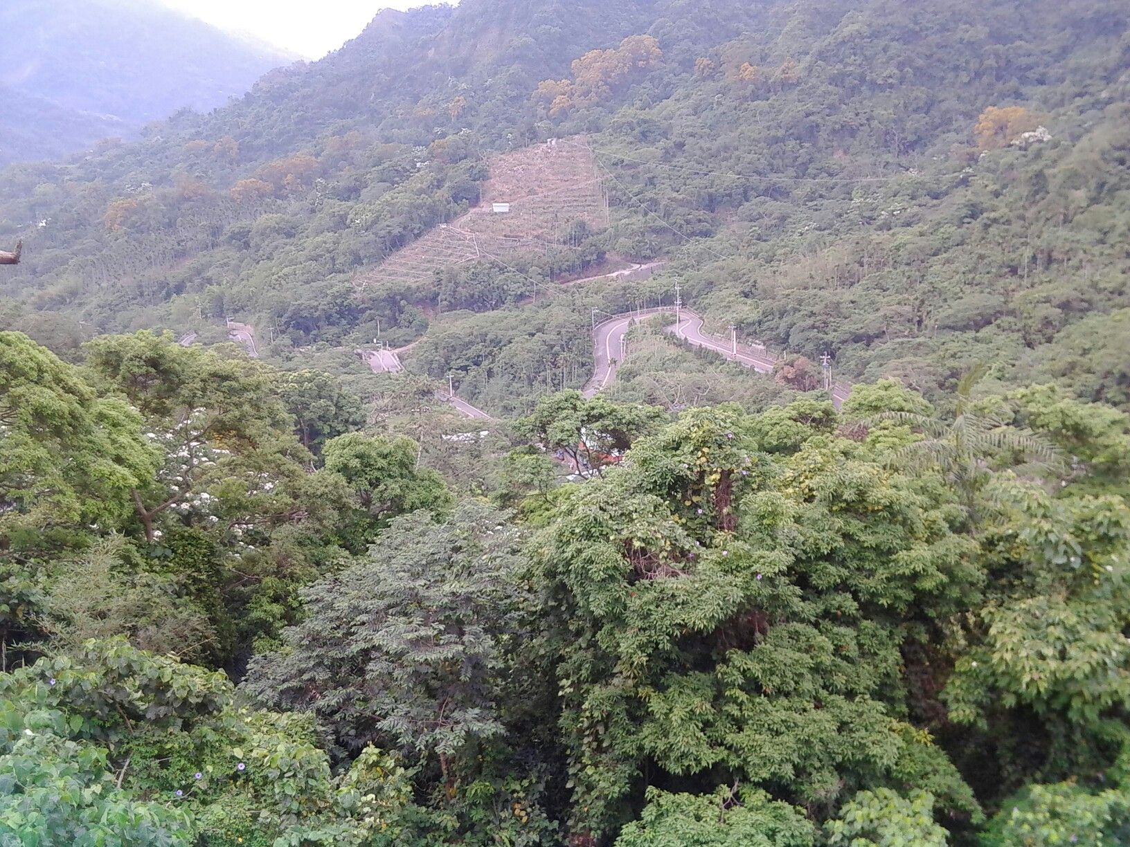 剛剛從下面一路往上爬