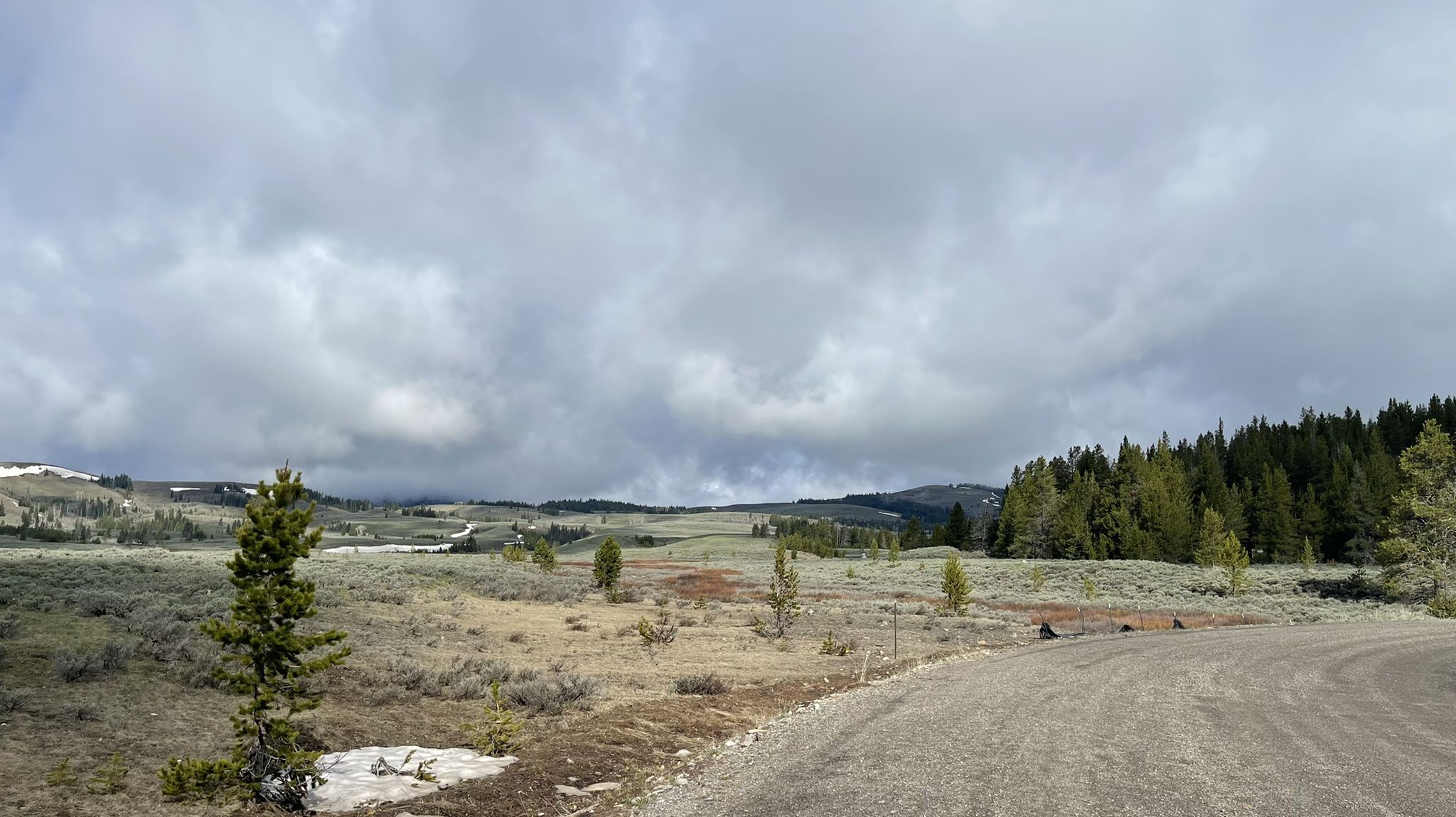 A wide, open field with scattered trees and a dirt road under cloudy skies. - Bunsen Peak Loop Trail