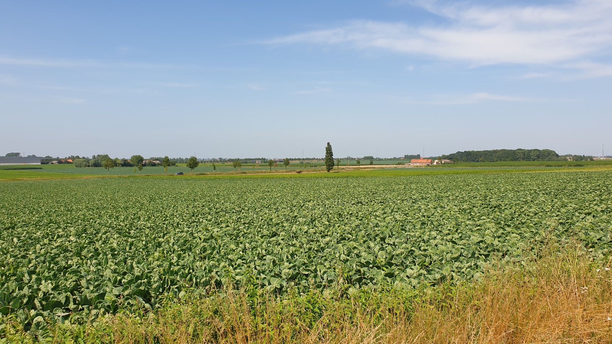 Le plat pays