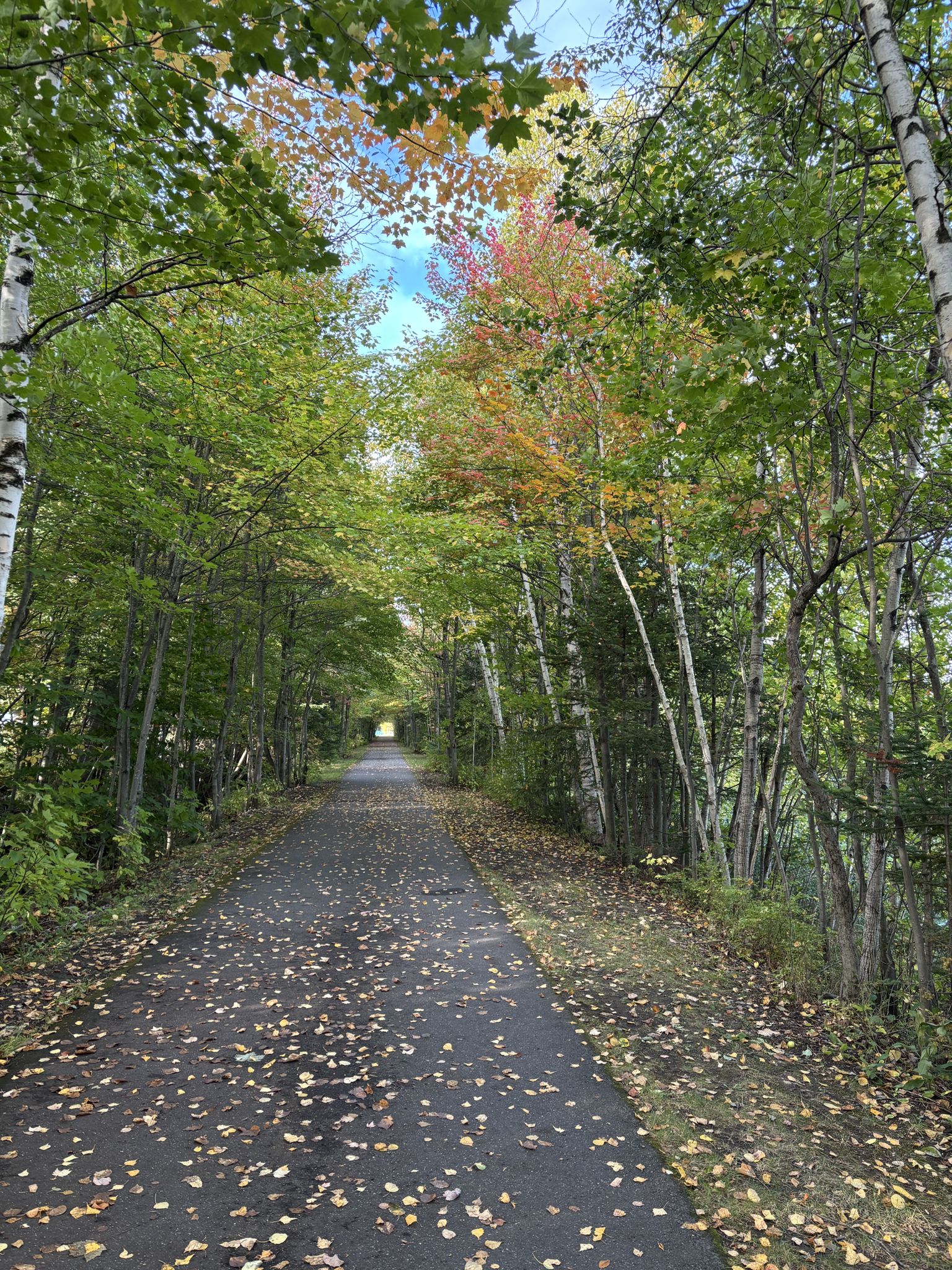 Always love a tree tunnel.