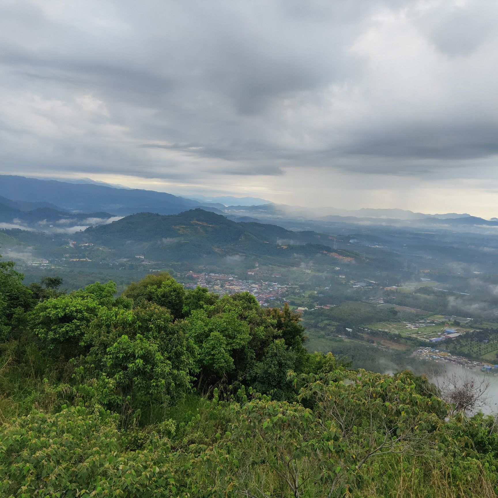 Broga hill
