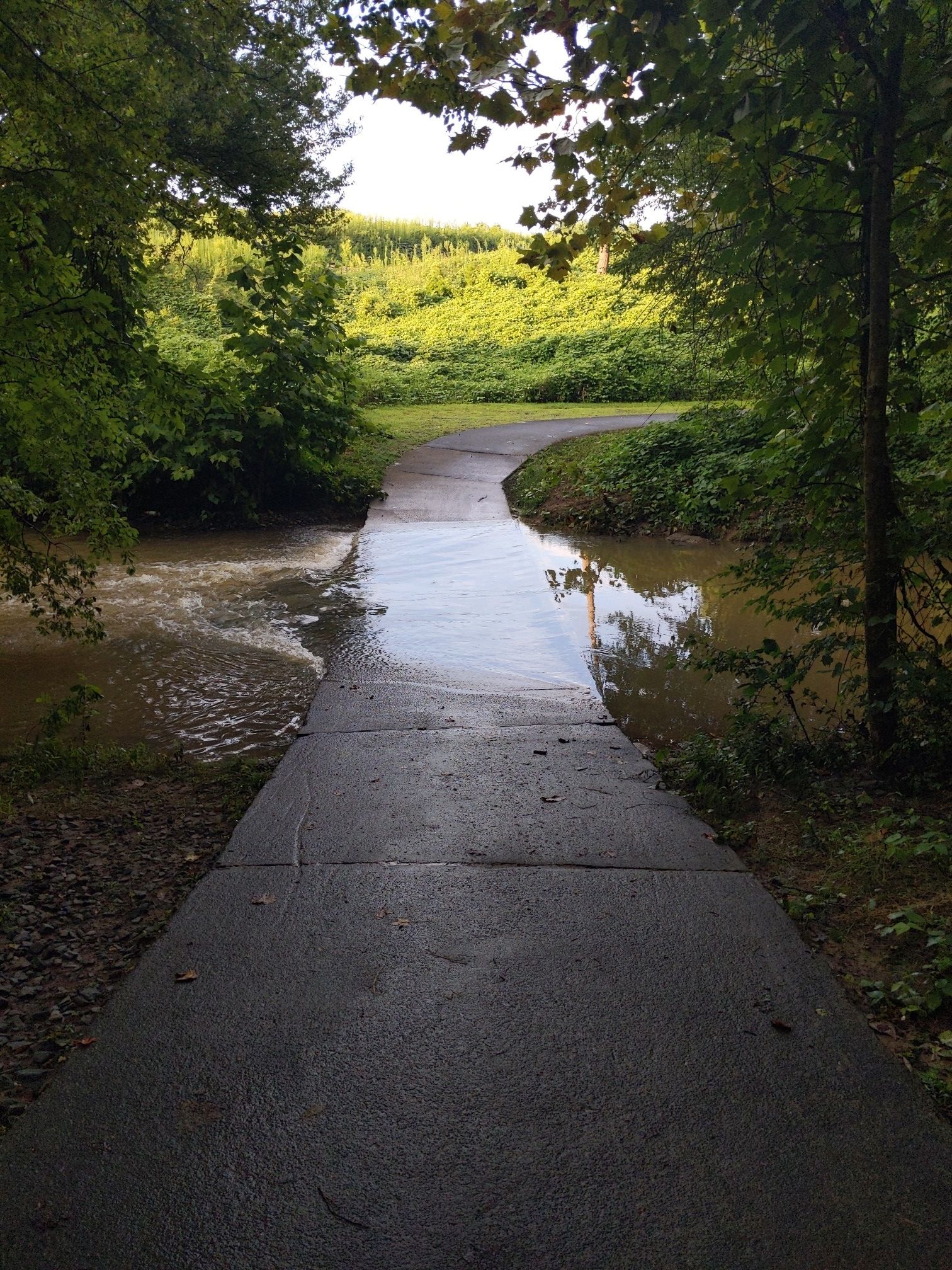 A paved path is partially submerged by muddy water, surrounded by green foliage. - Salem Creek Greenway