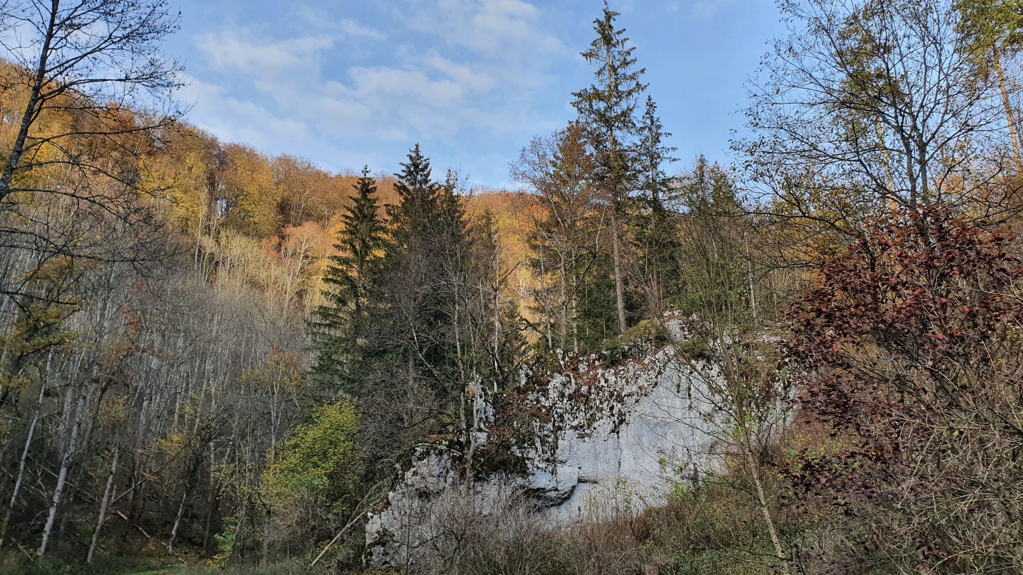 Abschluss