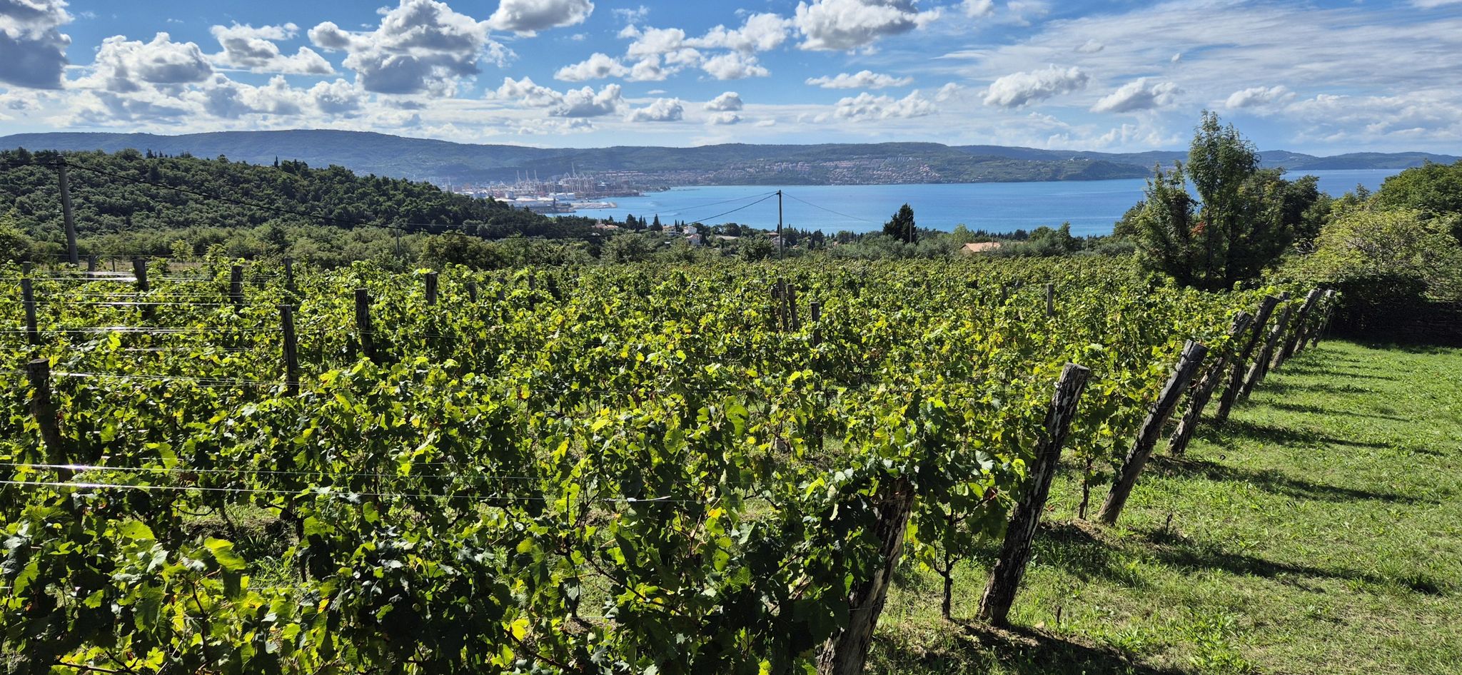 Blick auf Koper