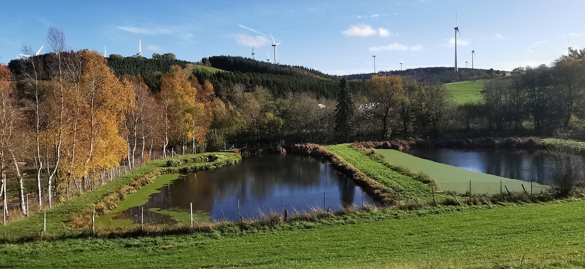 Bei Ormont