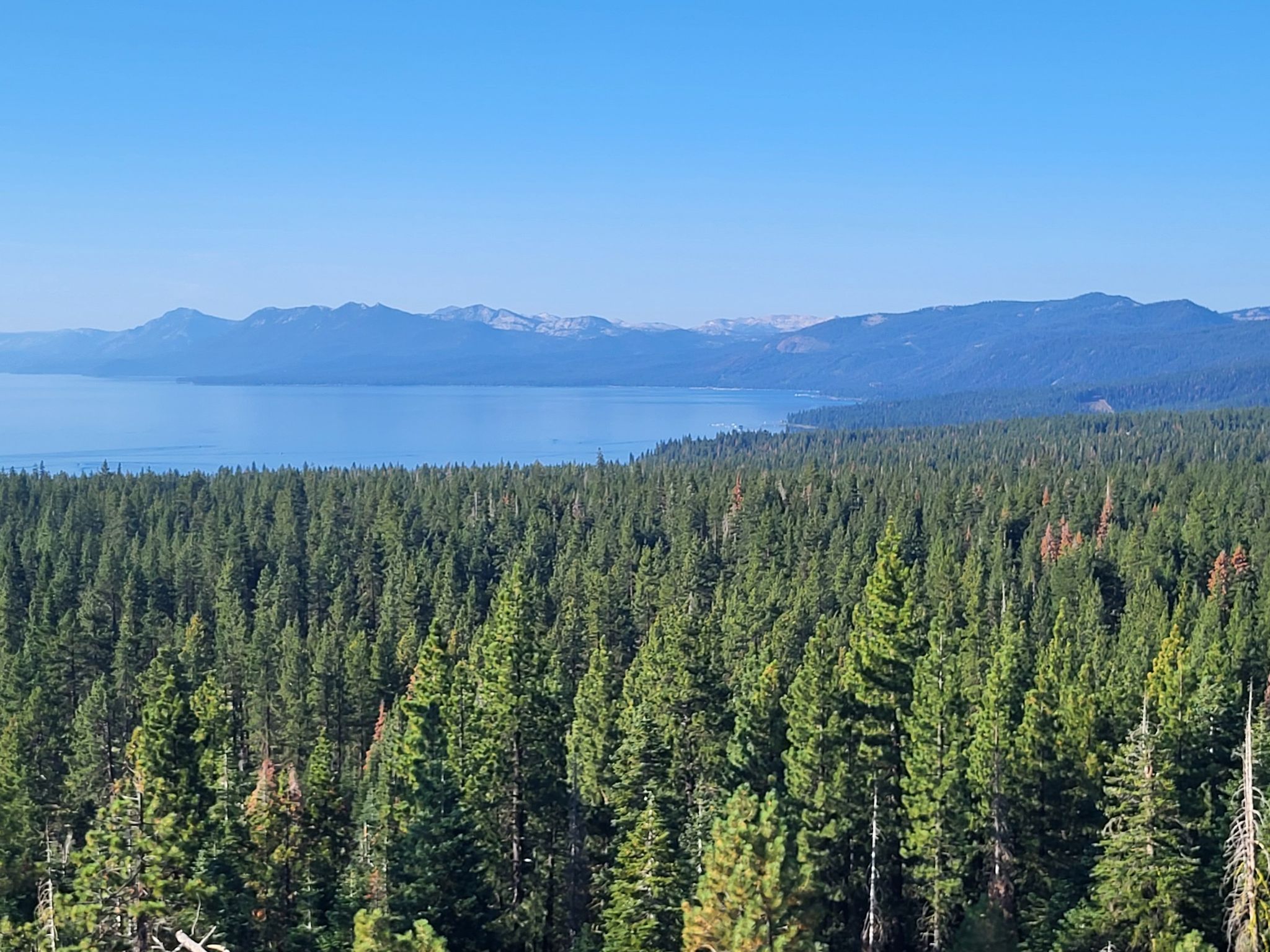 Expansive view of a large blue lake, dense forest, and distant mountains. - Dollar Creek Shared Use Path and Dollar Reservoir Loop