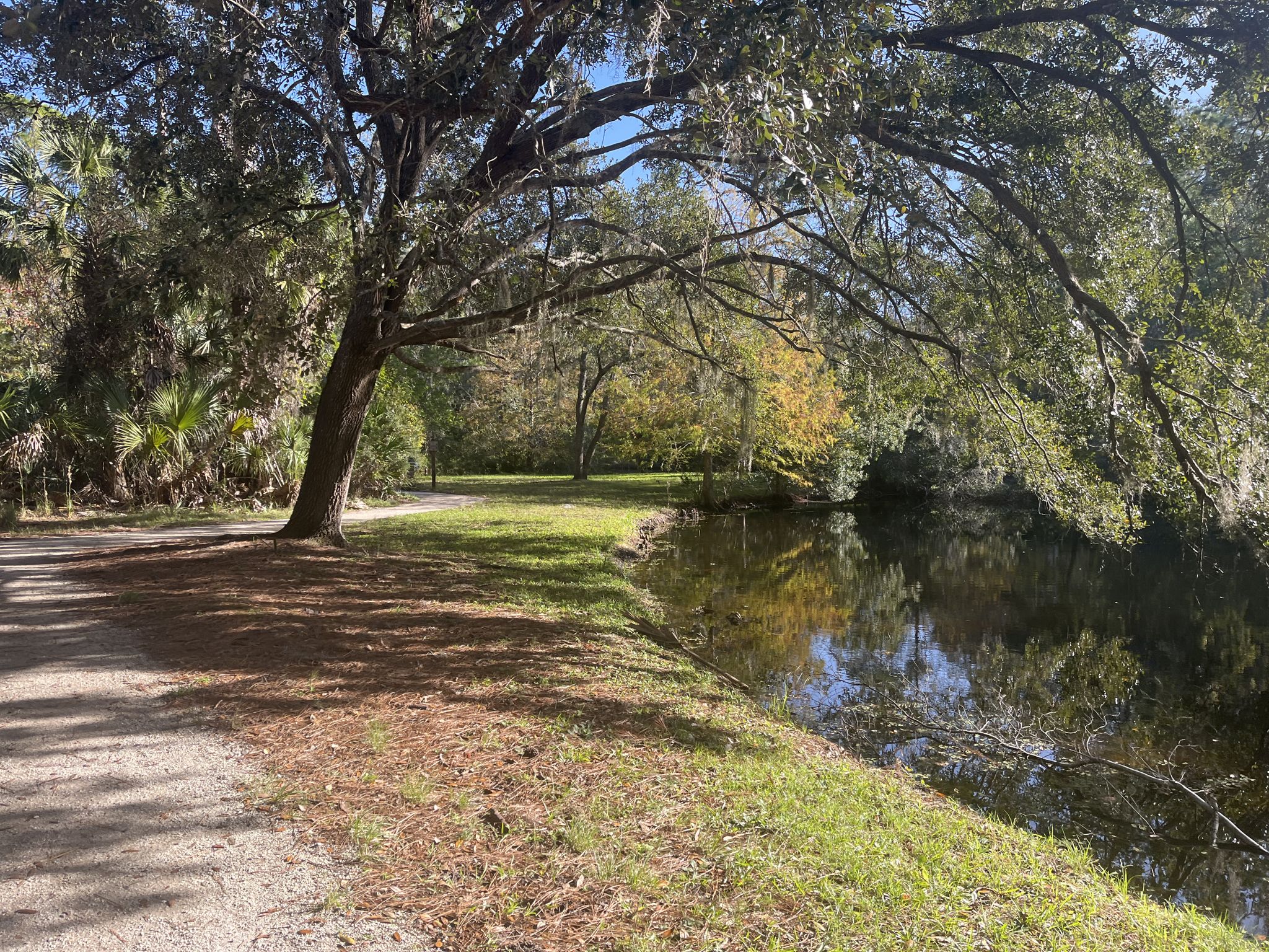 Sunny view of a calm river beside a grassy bank and dirt path. - John Chestnut Senior Park loop