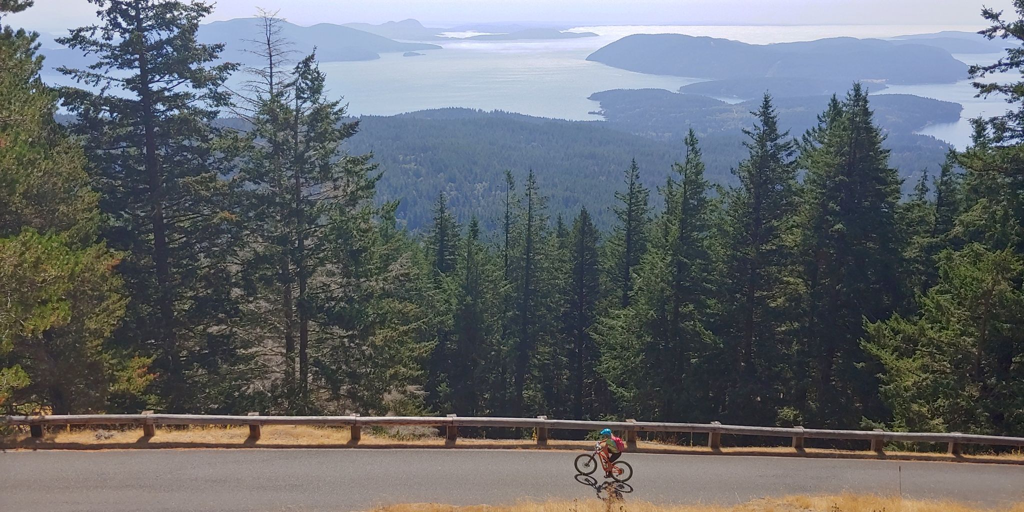 A cyclist rides on a mountain road with a scenic bay view. - Cascade Falls – Mount Constitution loop from Orcas Island