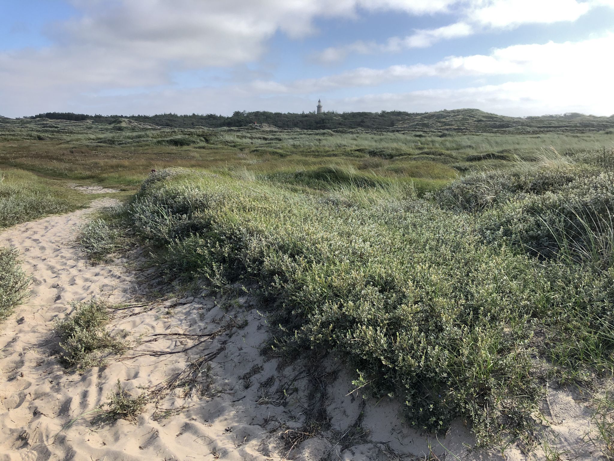 Blick zum Lodbjerg Leuchtturm