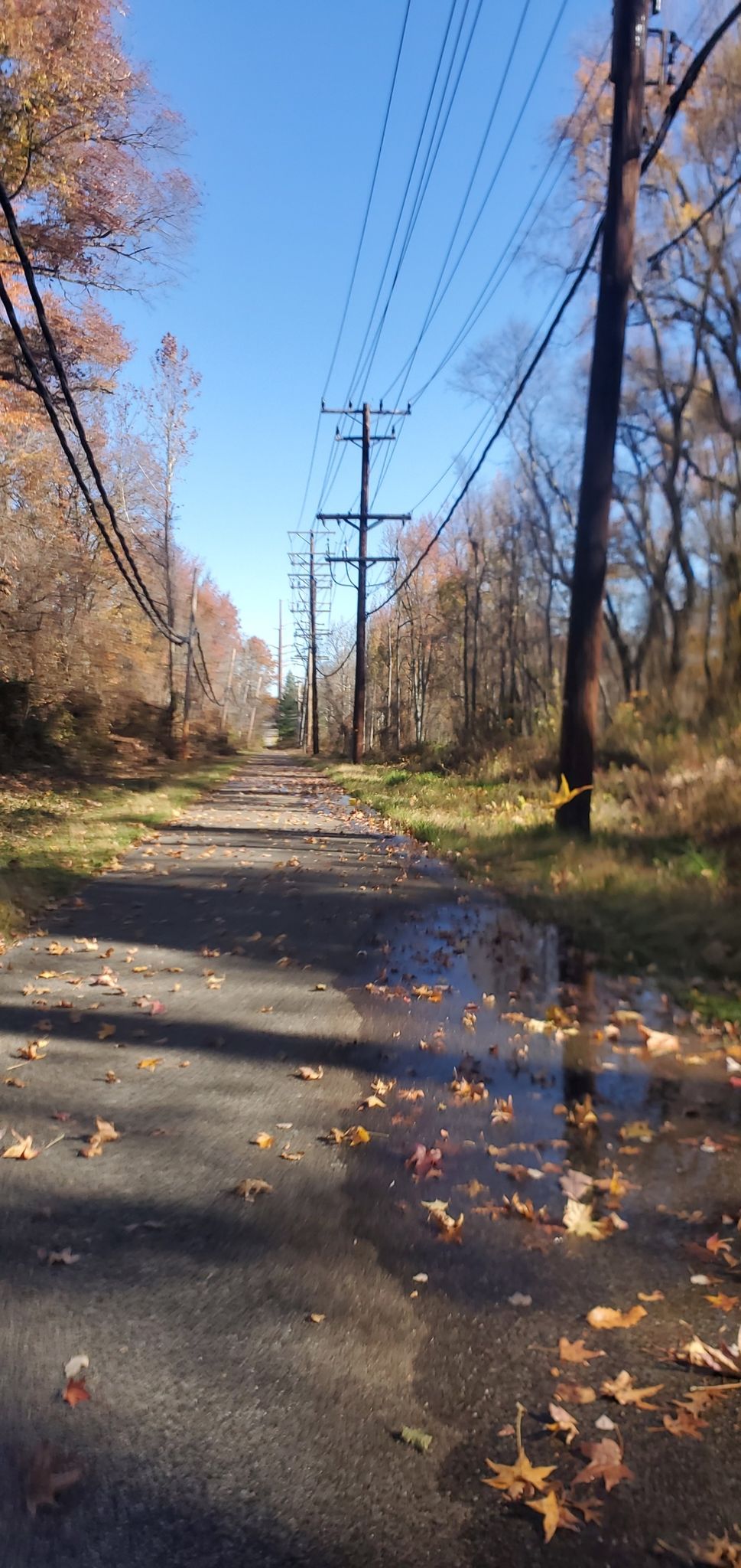 Paved road with autumn leaves and puddles, power lines overhead, clear sky. - Washington, Baltimore and Annapolis Trail
