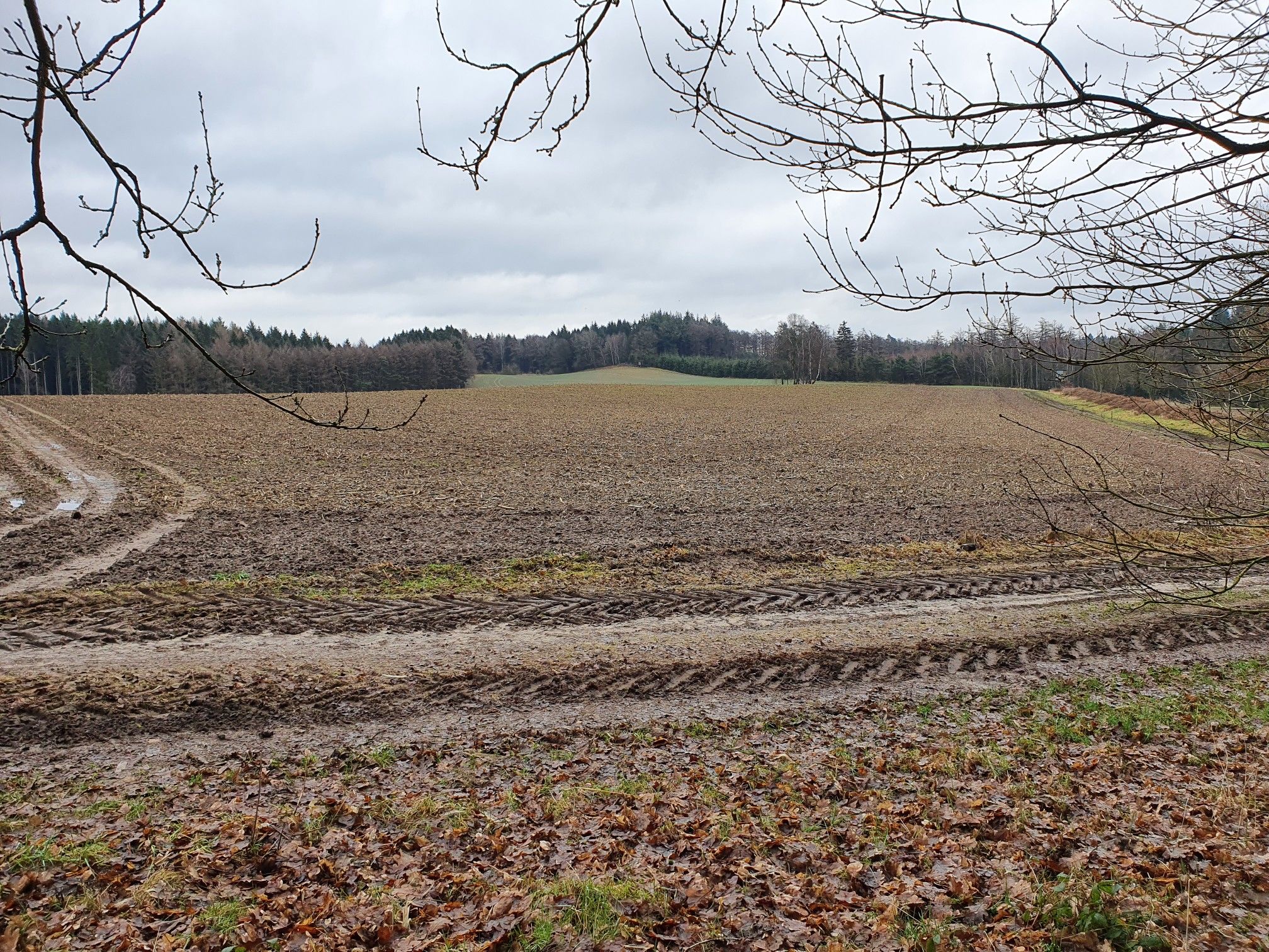 Der Blick des Wanderers geht über eine wellige Landschaft.