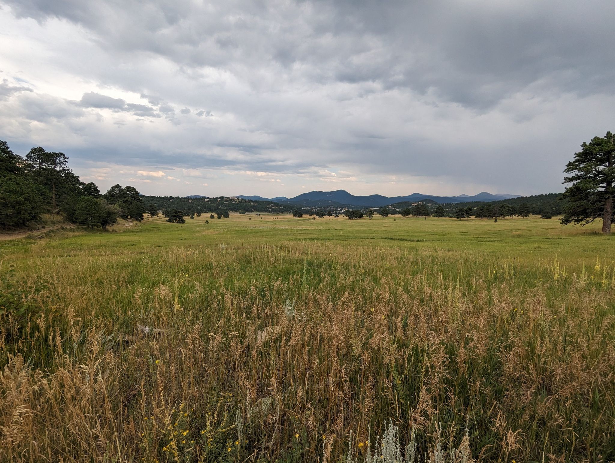 Expansive grassy field with distant hills under an overcast sky. - Painter's Pause, Meadow View, and Sleepy S Trail Loop