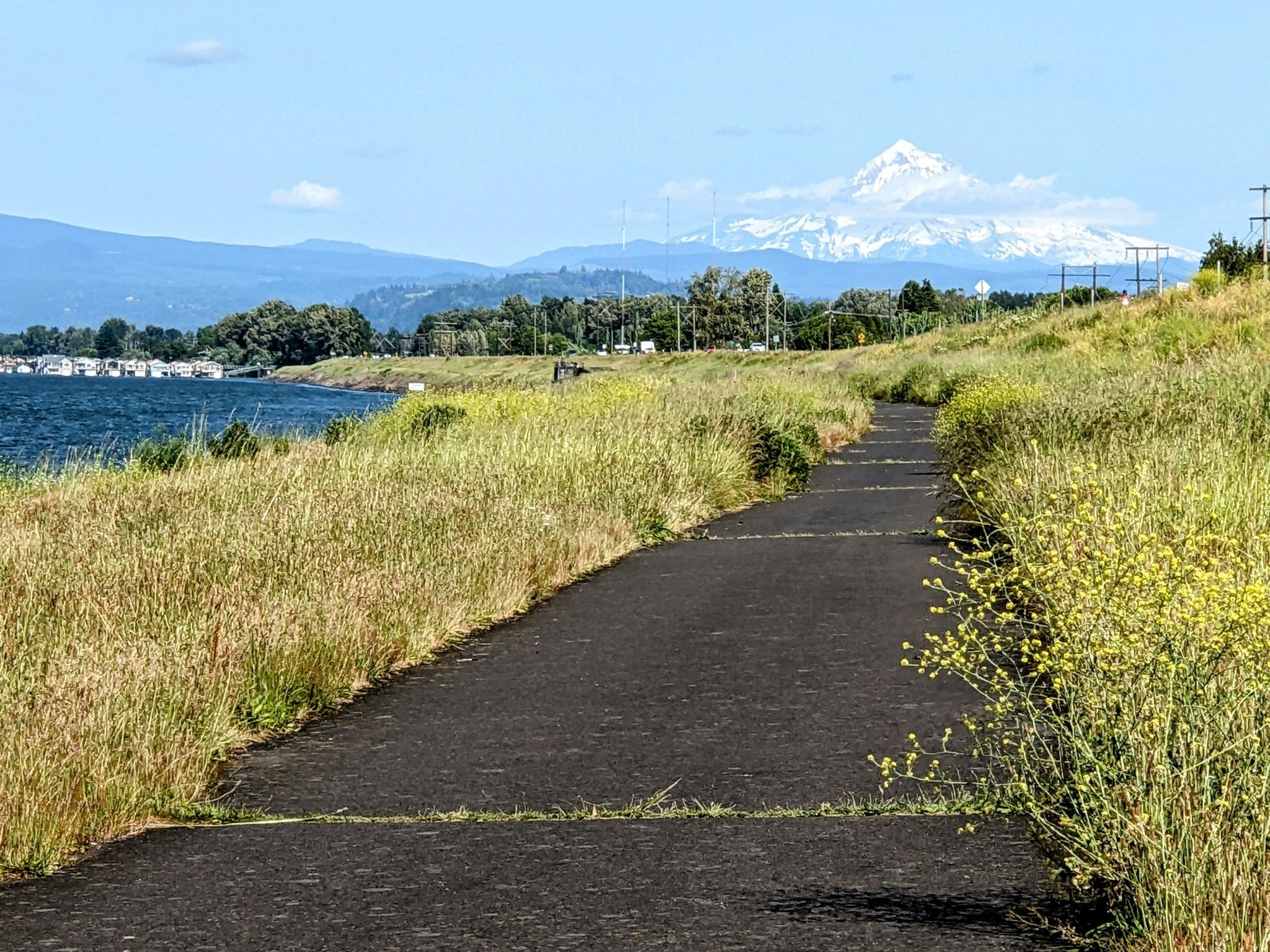 A paved path winds along a grassy riverbank with a snow-capped mountain. - Ross Mountain Loop