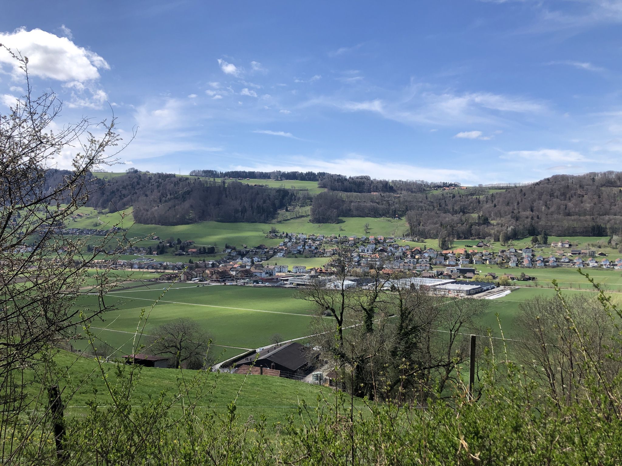 Blick auf Toffen