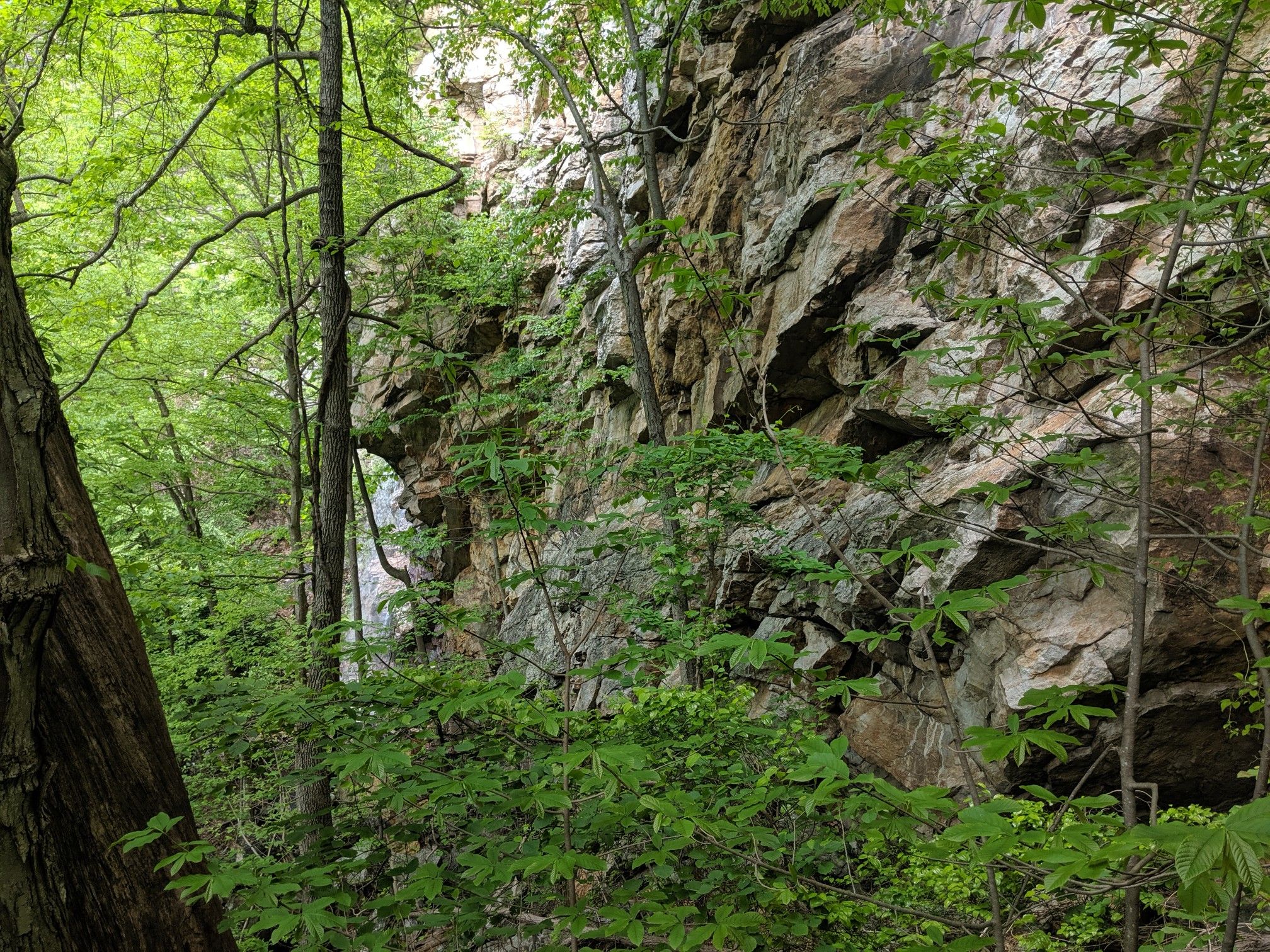 falls