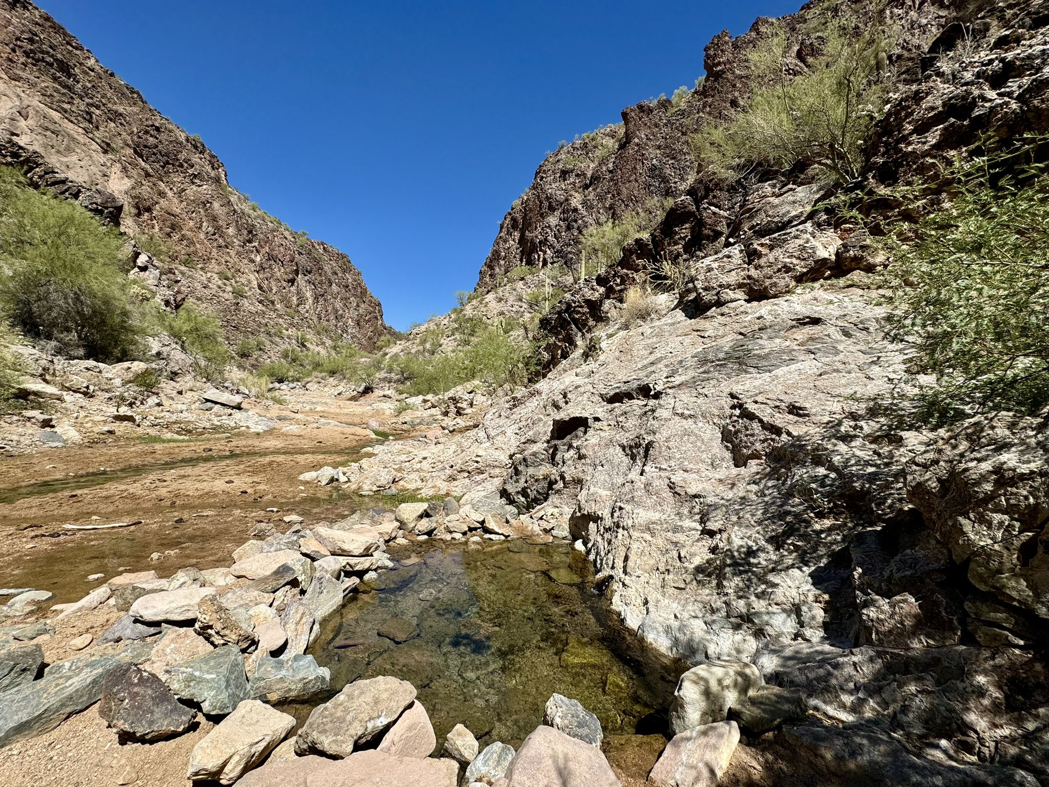 Small pool of water in a sunny desert canyon with rocky walls. - Kaiser Hot Springs Trail