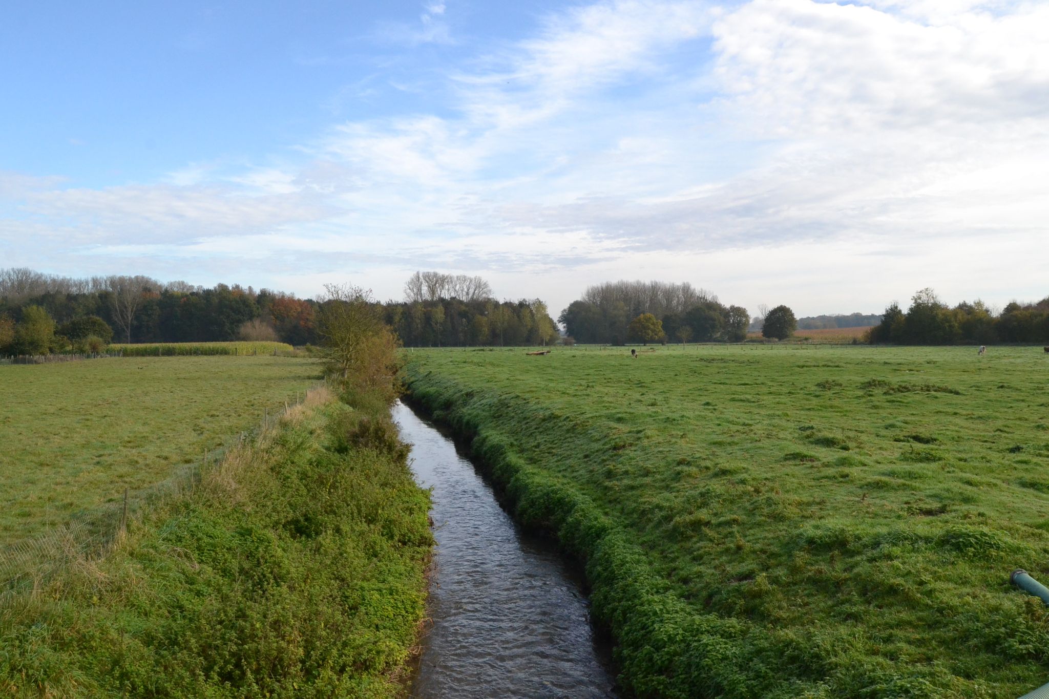 de Velpe
