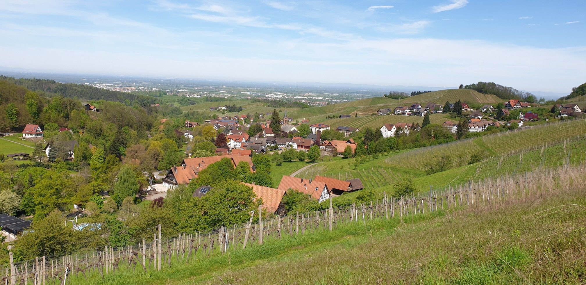Sasbachwalden 
