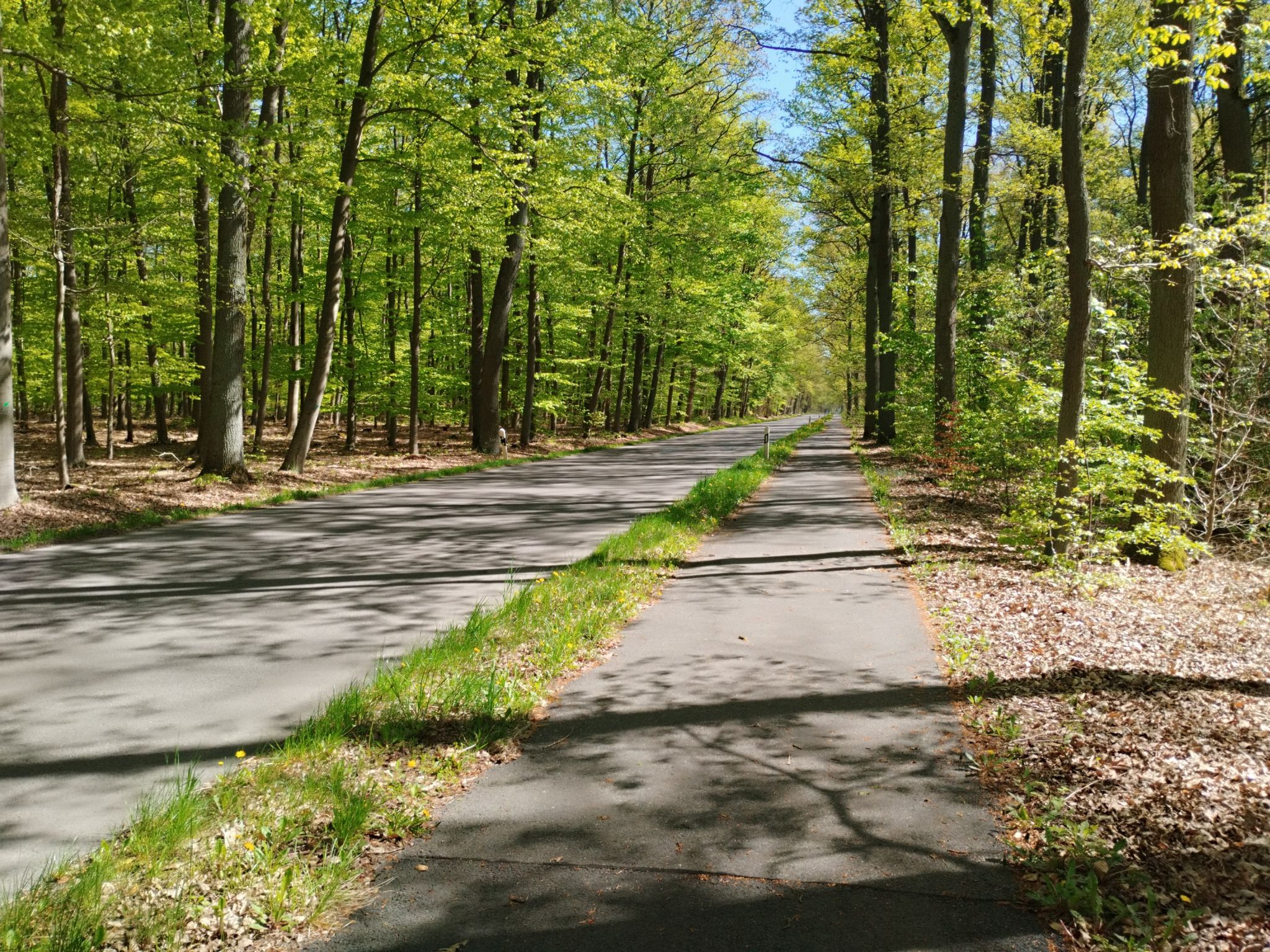 holpriger, alter Radweg nach Müllrose
