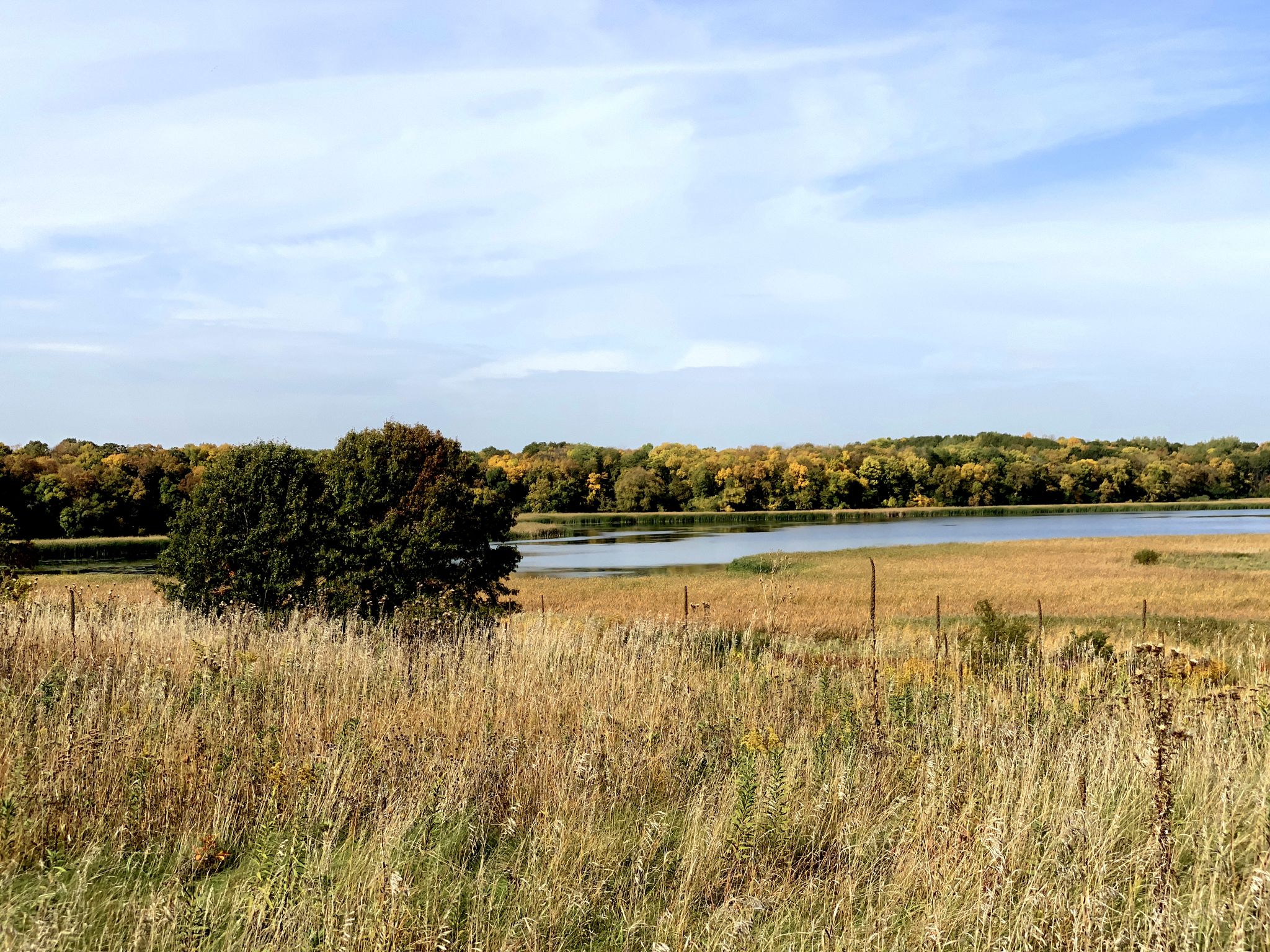 Lake, golden fields, and autumn trees under a partly cloudy sky. - Valley Trail – Elm Creek Park Reserve loop from 96 Av N