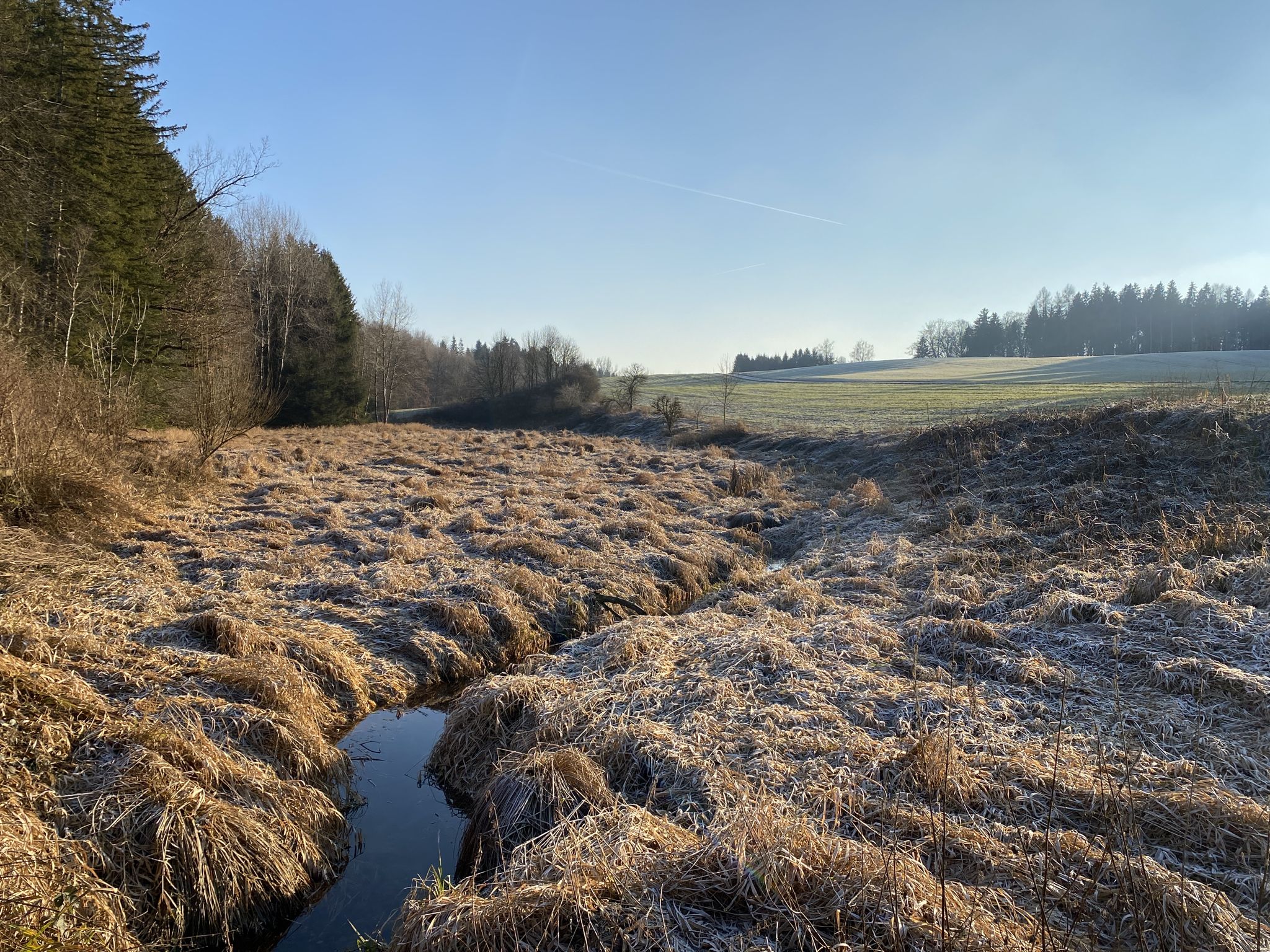 Spiegelbächl
