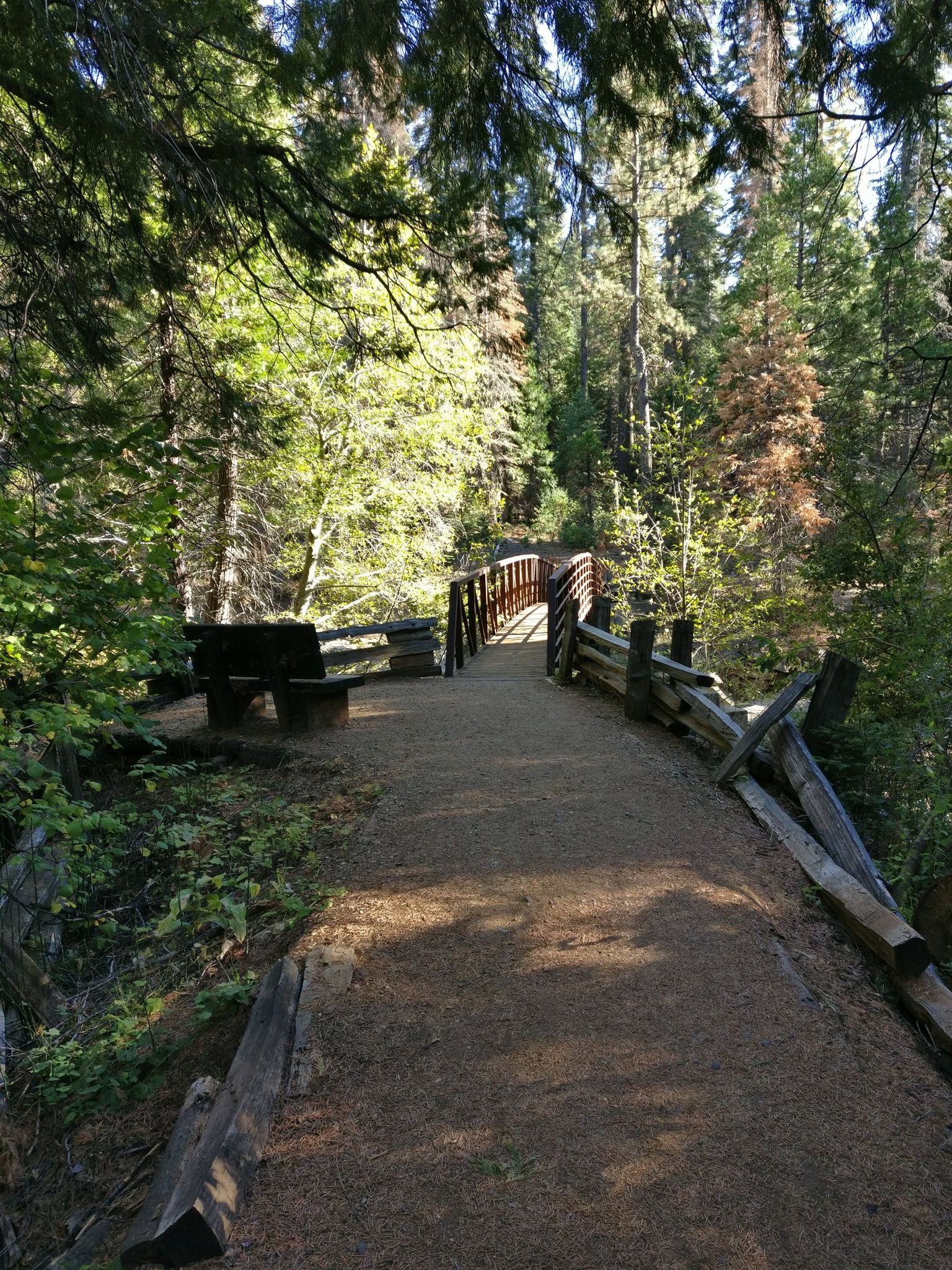 A dirt path leads to a wooden bridge and bench in a sunny forest. - Big Trees Loop