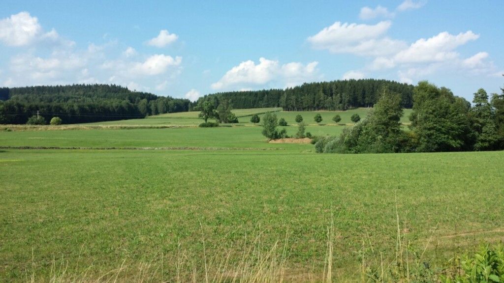 Landschaft