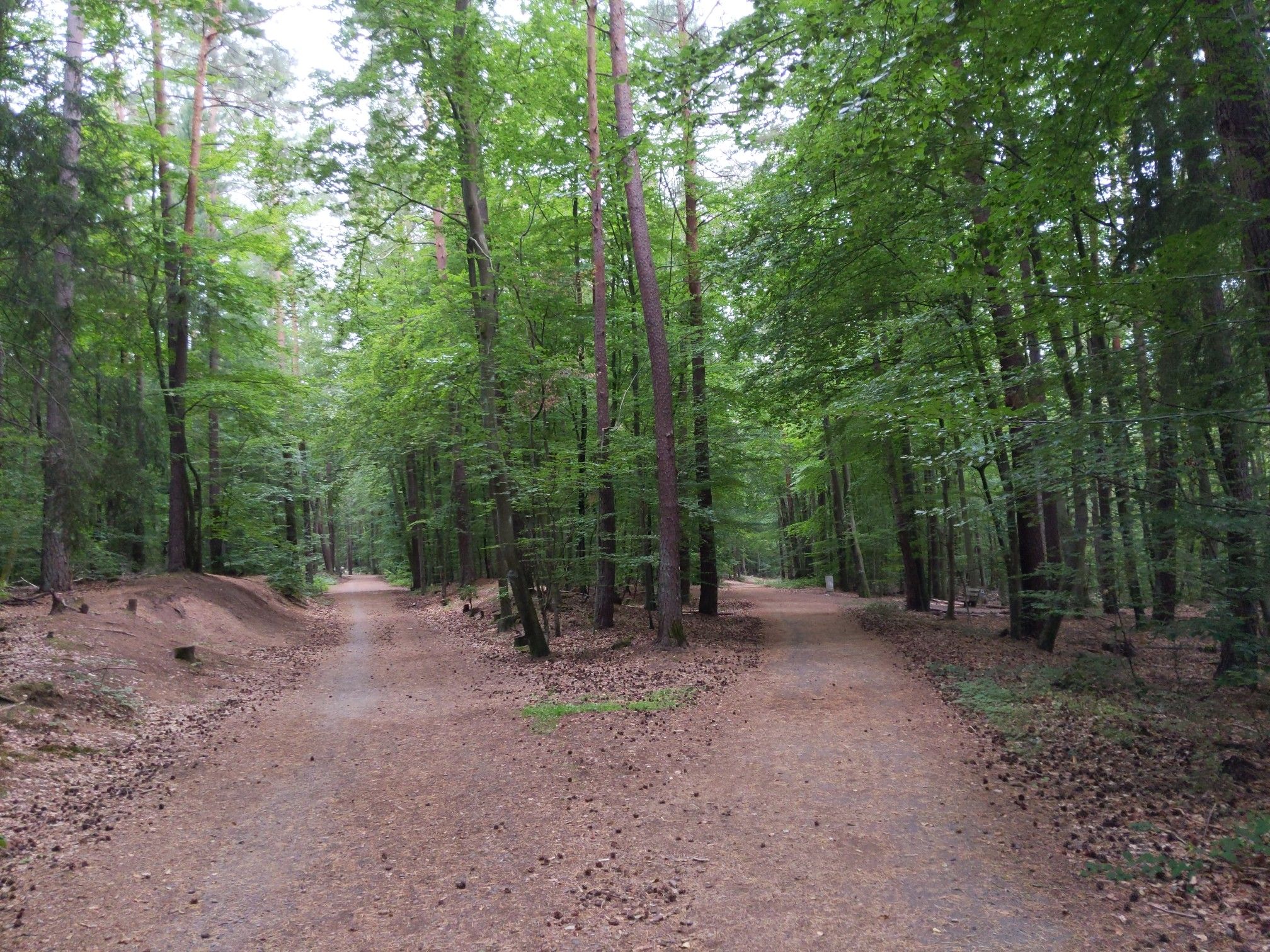 Links... oder Rechts...