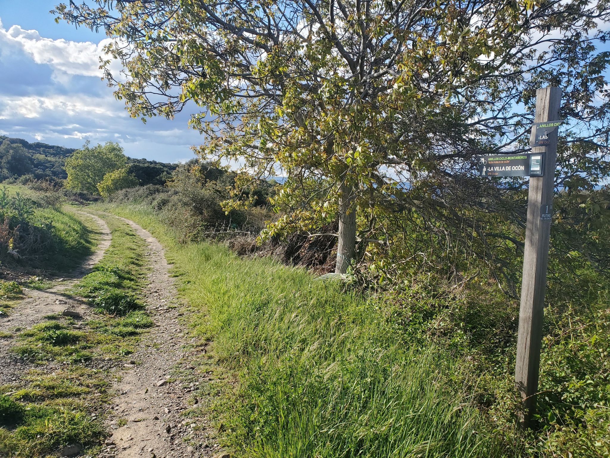 ruta a Ocón
