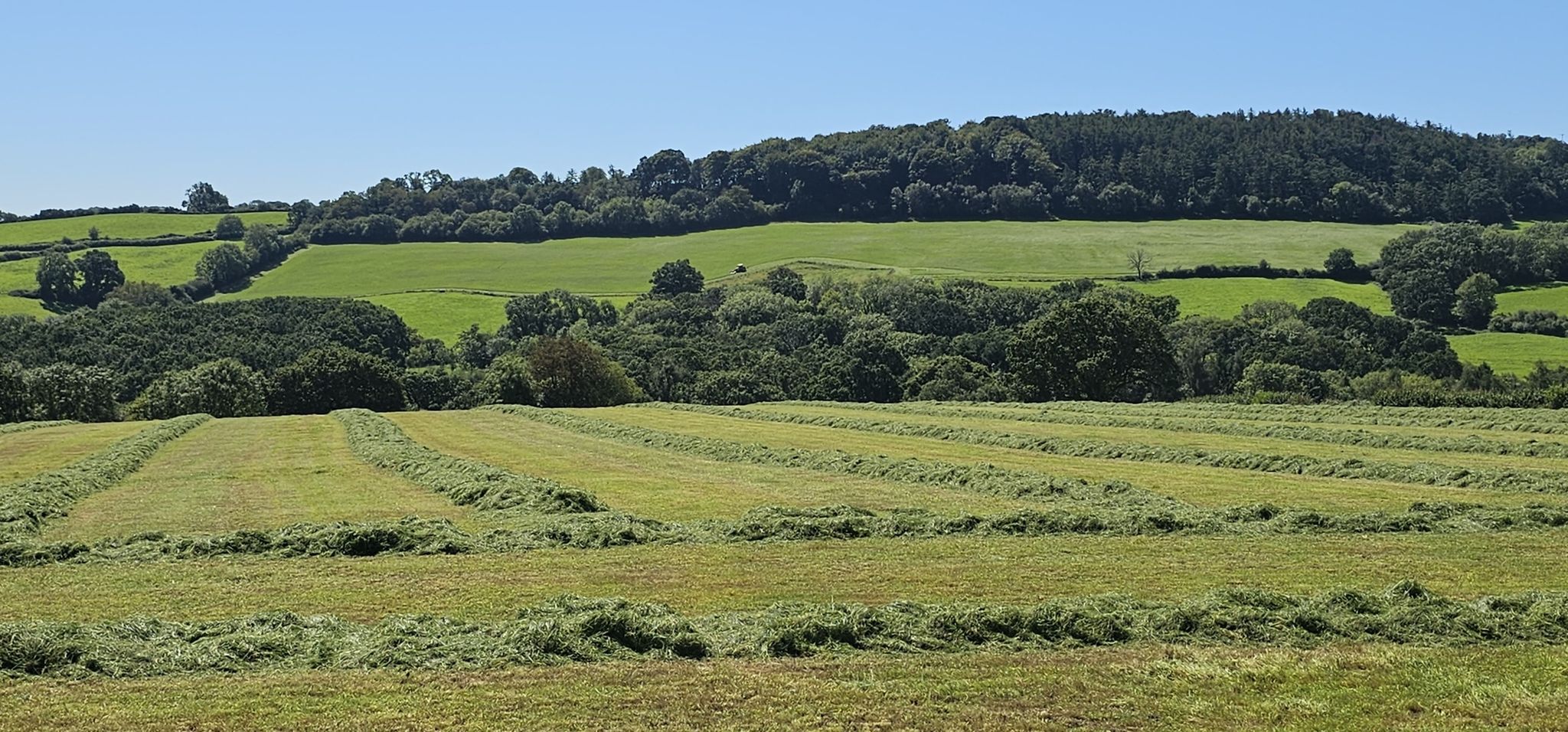 Blick in die Landschaft