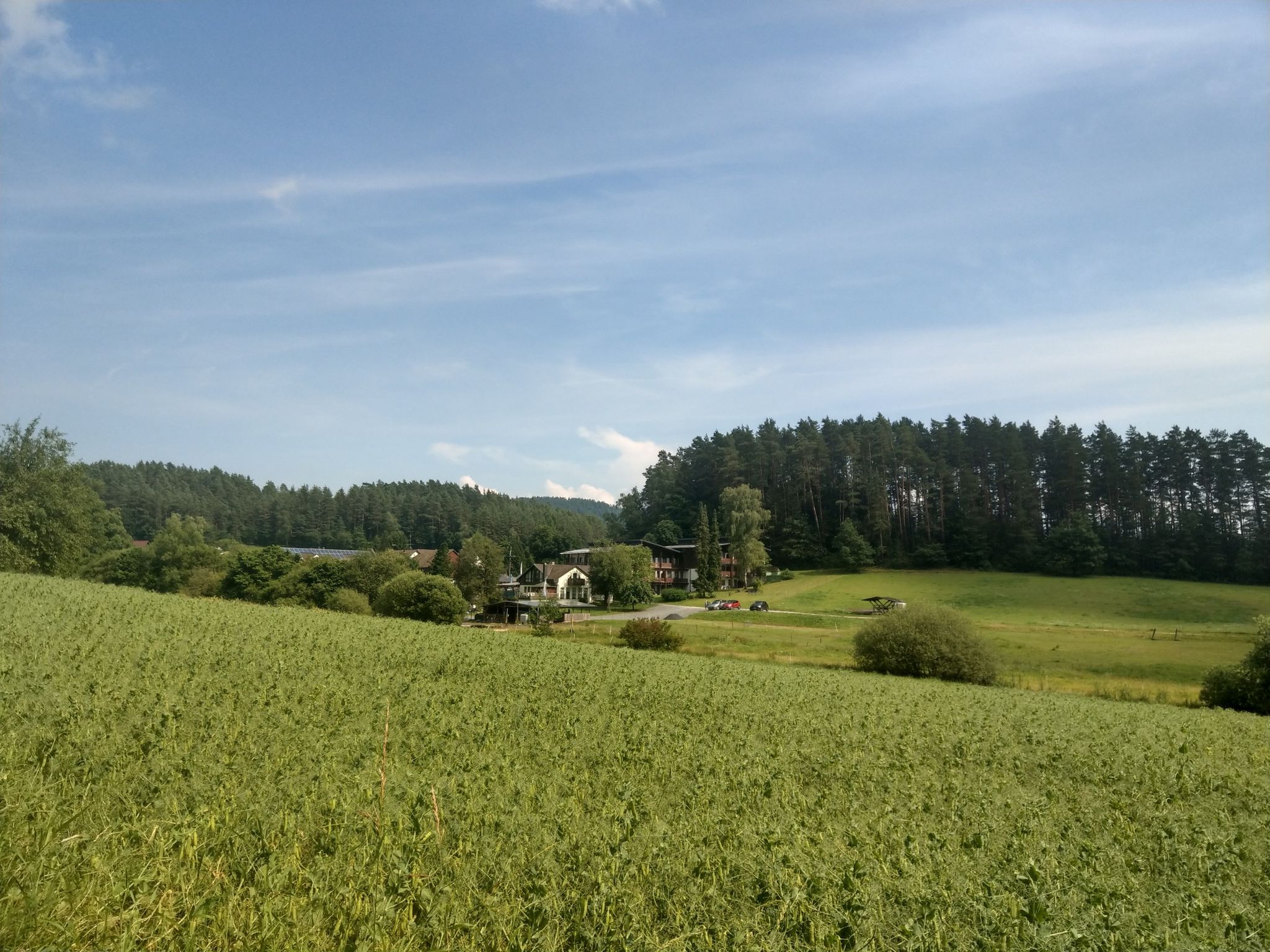 Blick aufs Waldhotel Bächlein