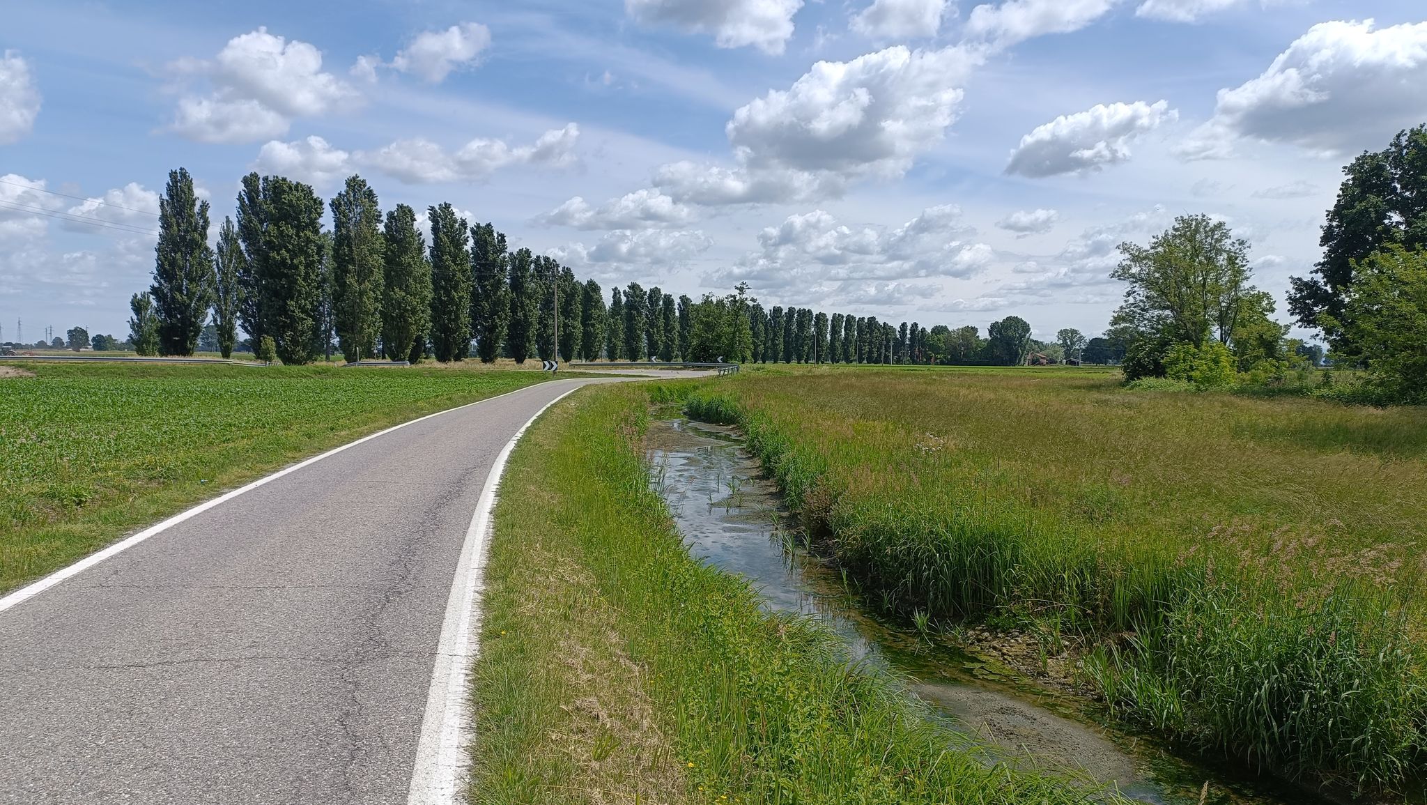 Campagna lodigiana
