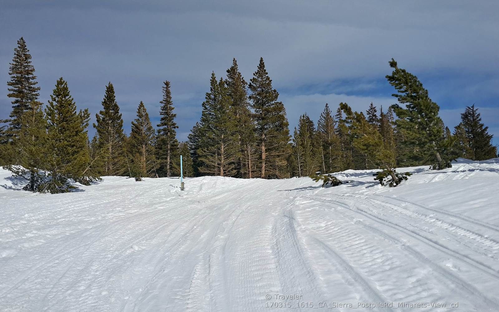 A snow-covered path with tire tracks leads through a pine forest under a bright sky. - Starkweather Lake Trail