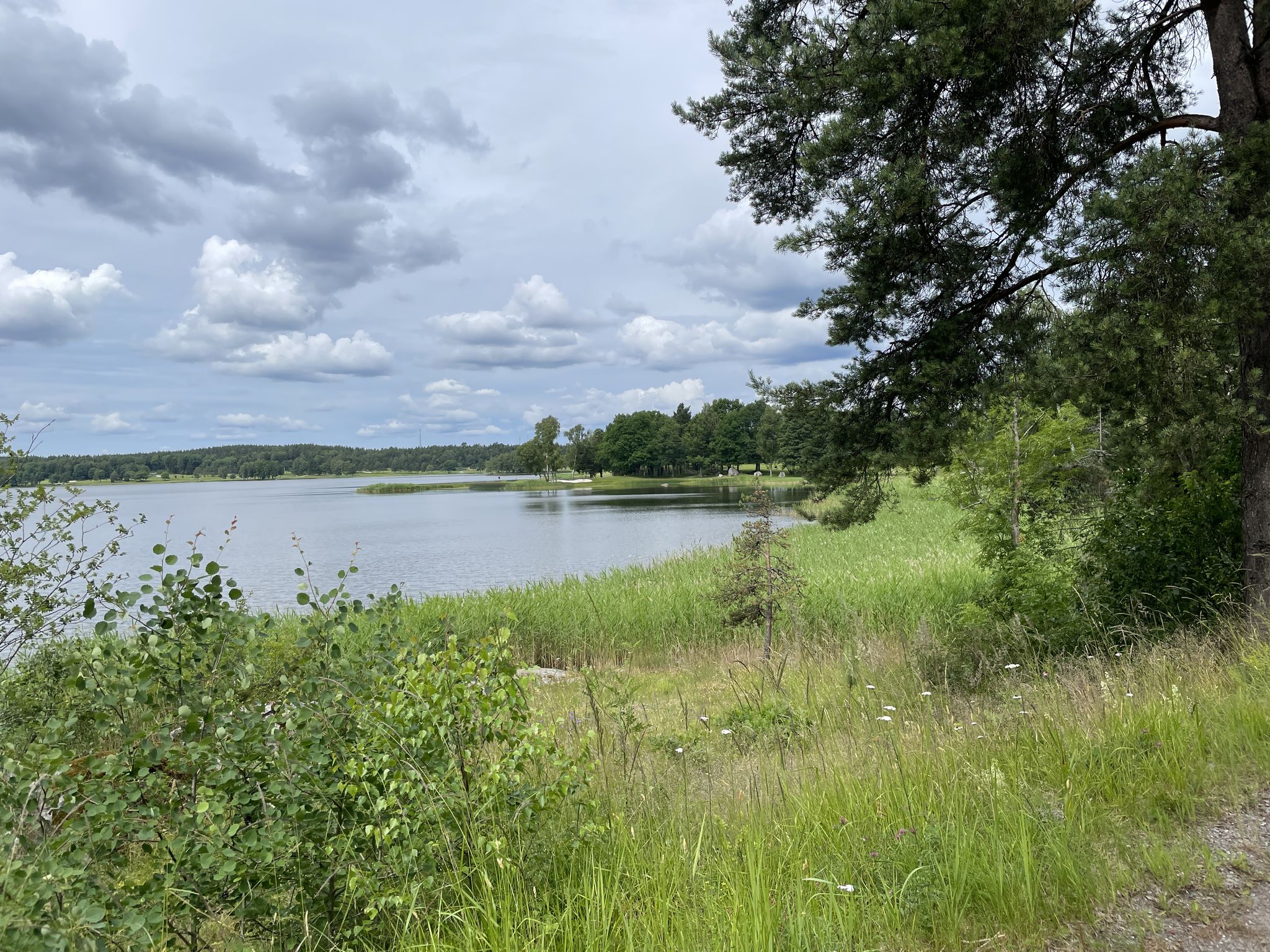 Ullnasjön
