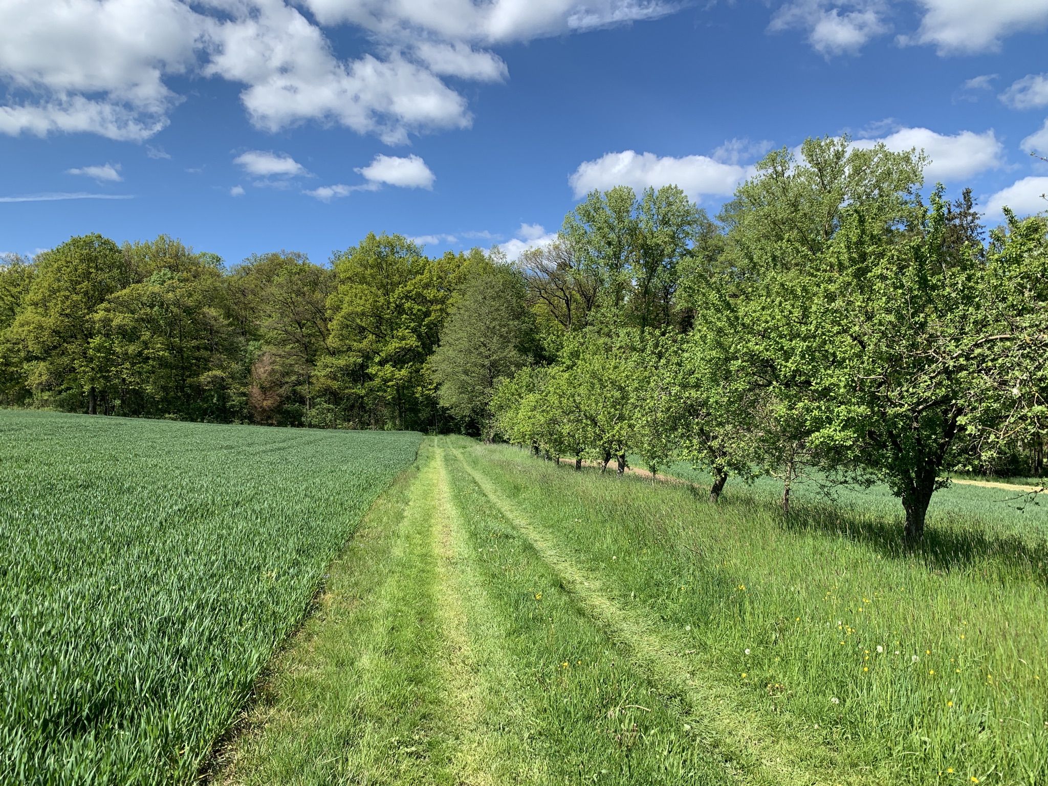 Wiesenweg