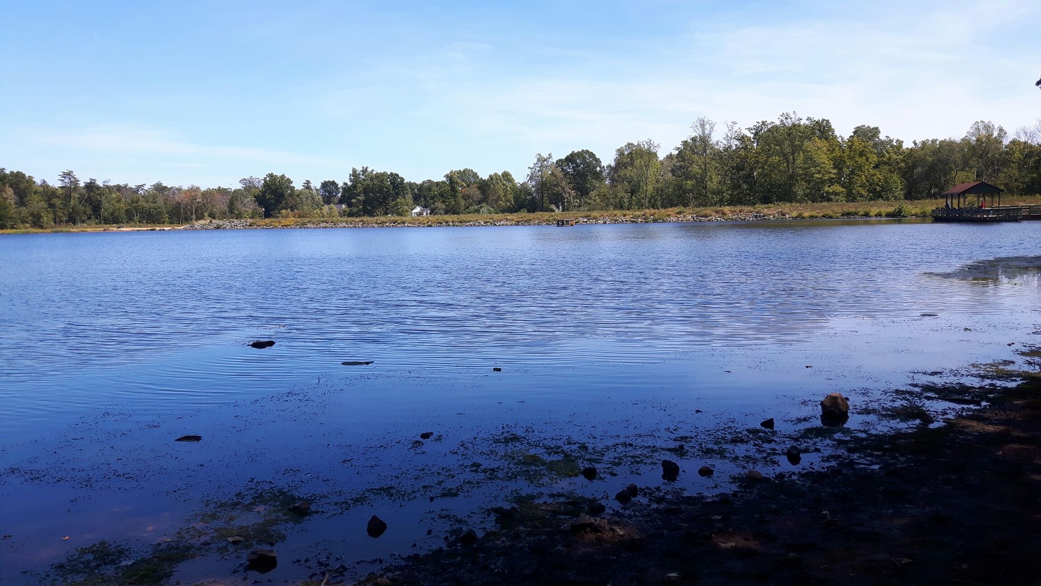 Blue lake with a distant gazebo and trees under a clear sky. - Lake Ashby Trail