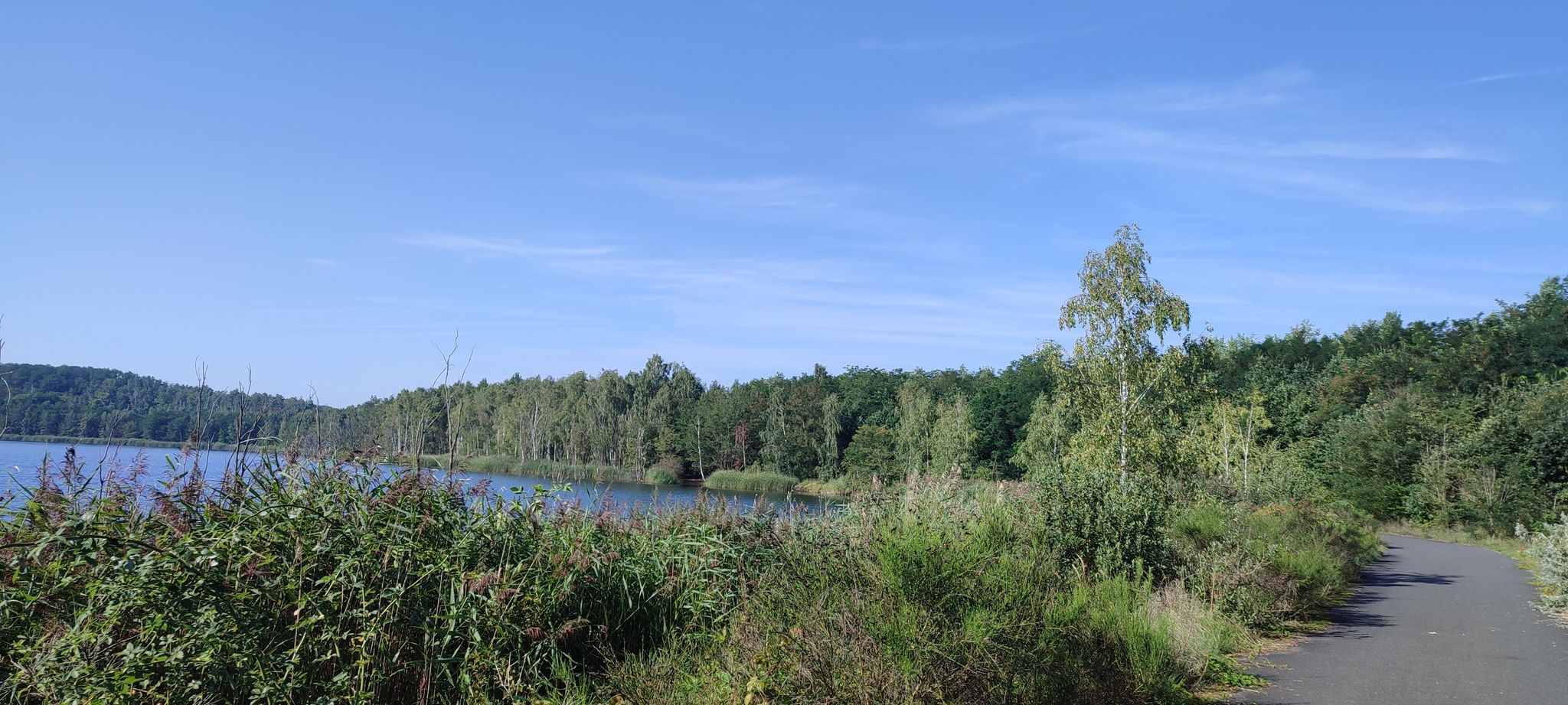 Holzweißiger Ser