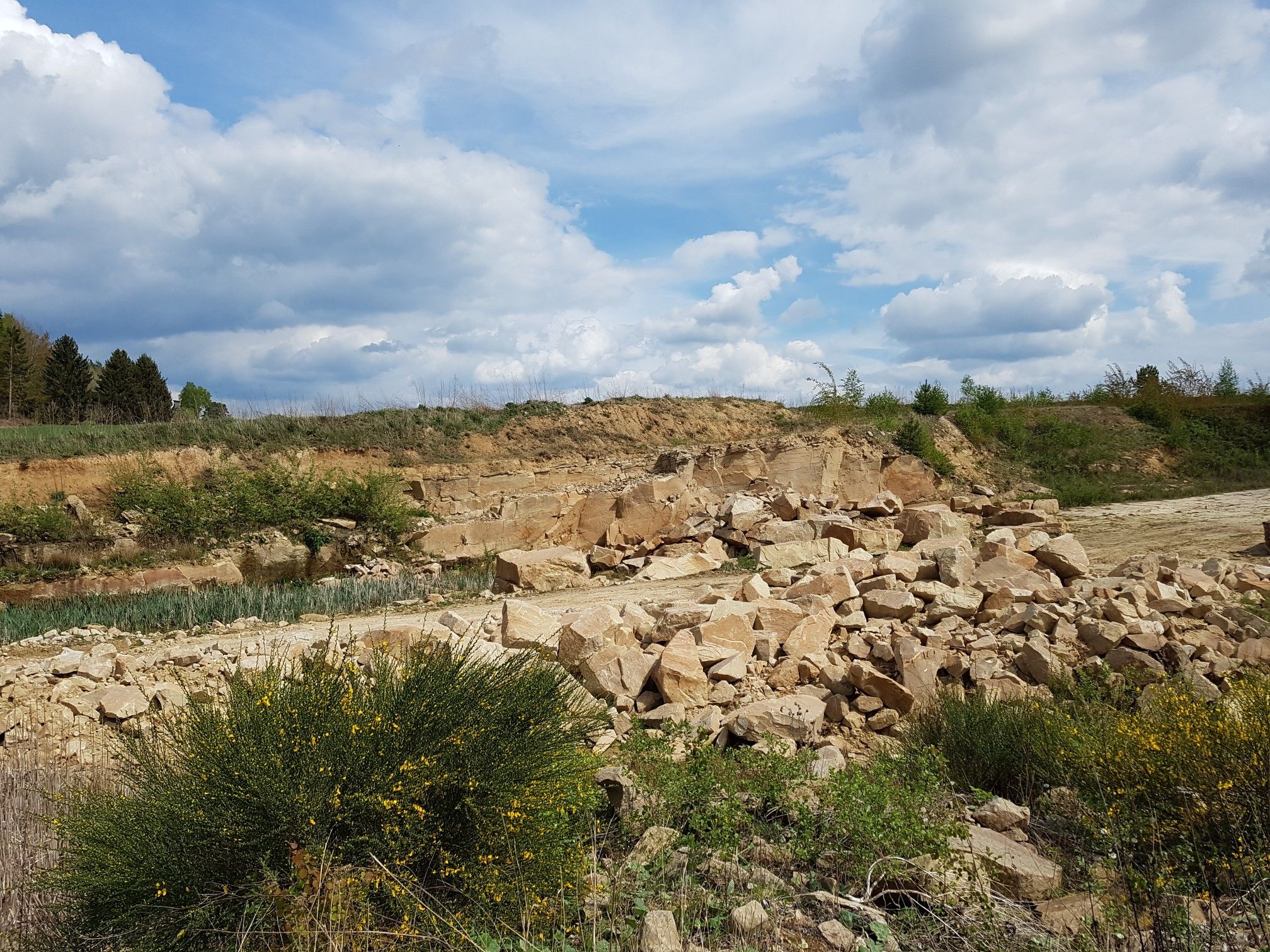 Sandsteinbruch