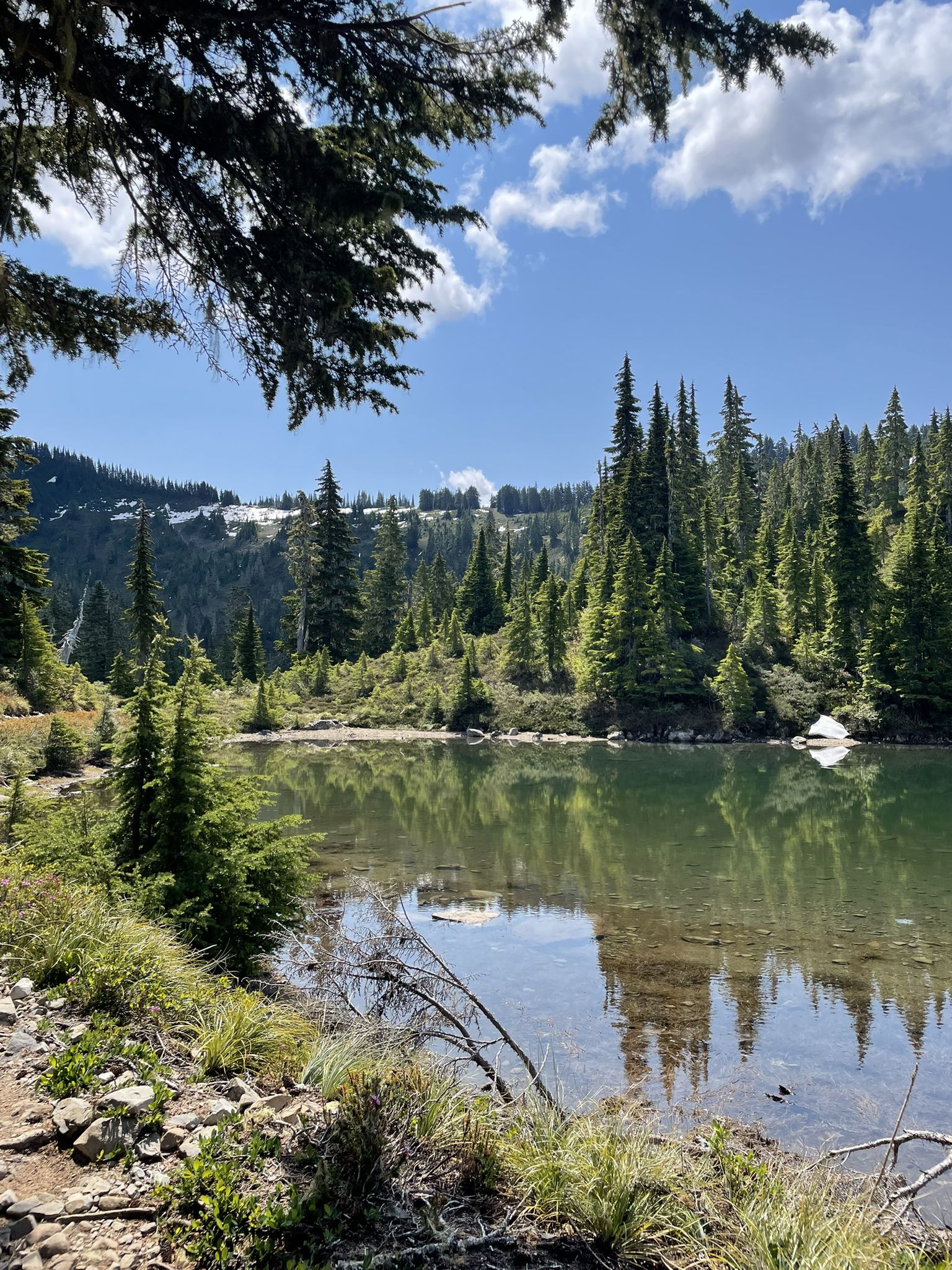 Clear lake reflecting tall pine trees under a blue sky with white clouds. - Sol Duc Hotsprings Road