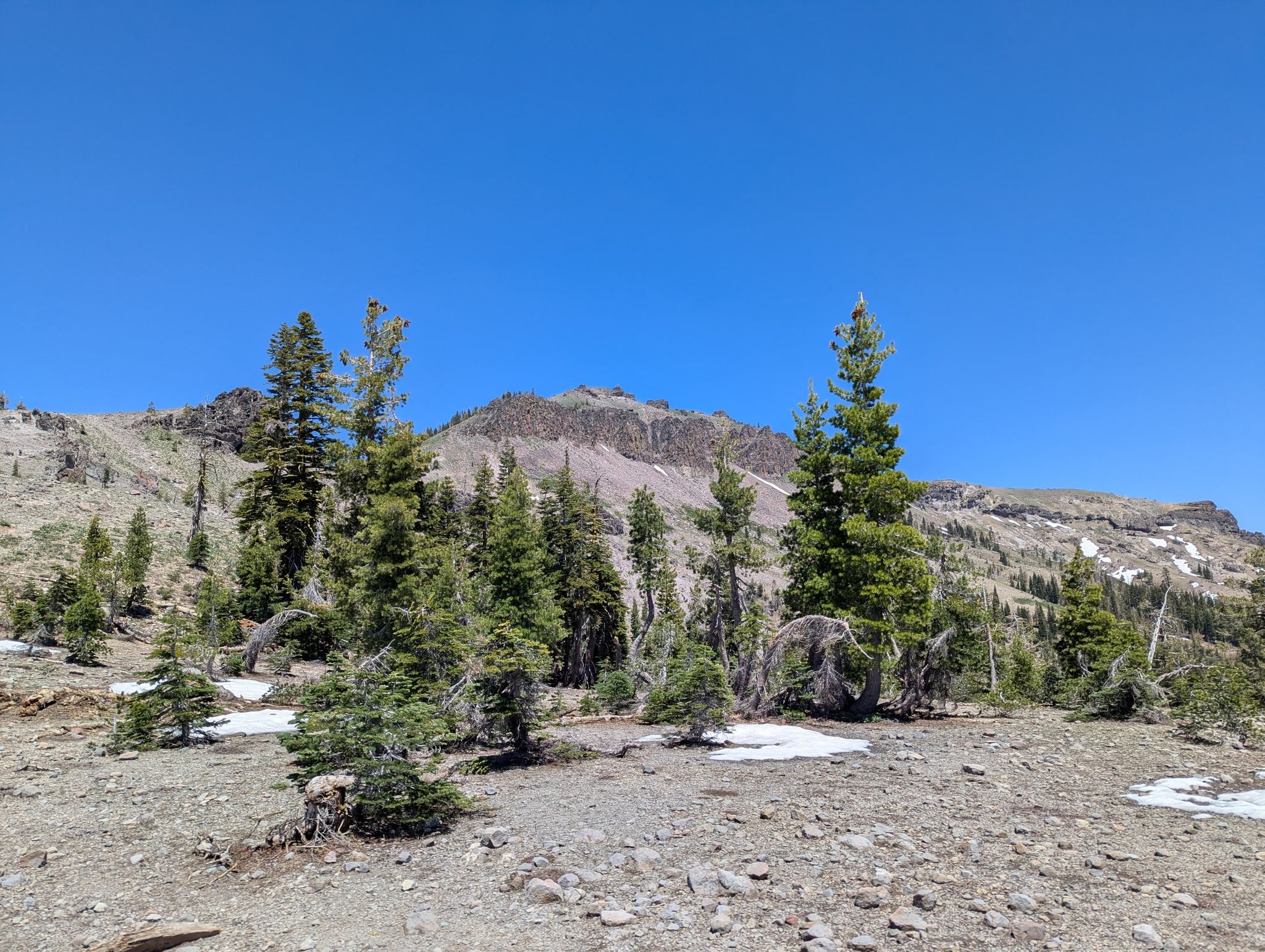 Rocky, sparse landscape with small pine trees and a distant mountain. - Summit Lake, Frog Lake Overlook, and Basin Peak via PCT Loop