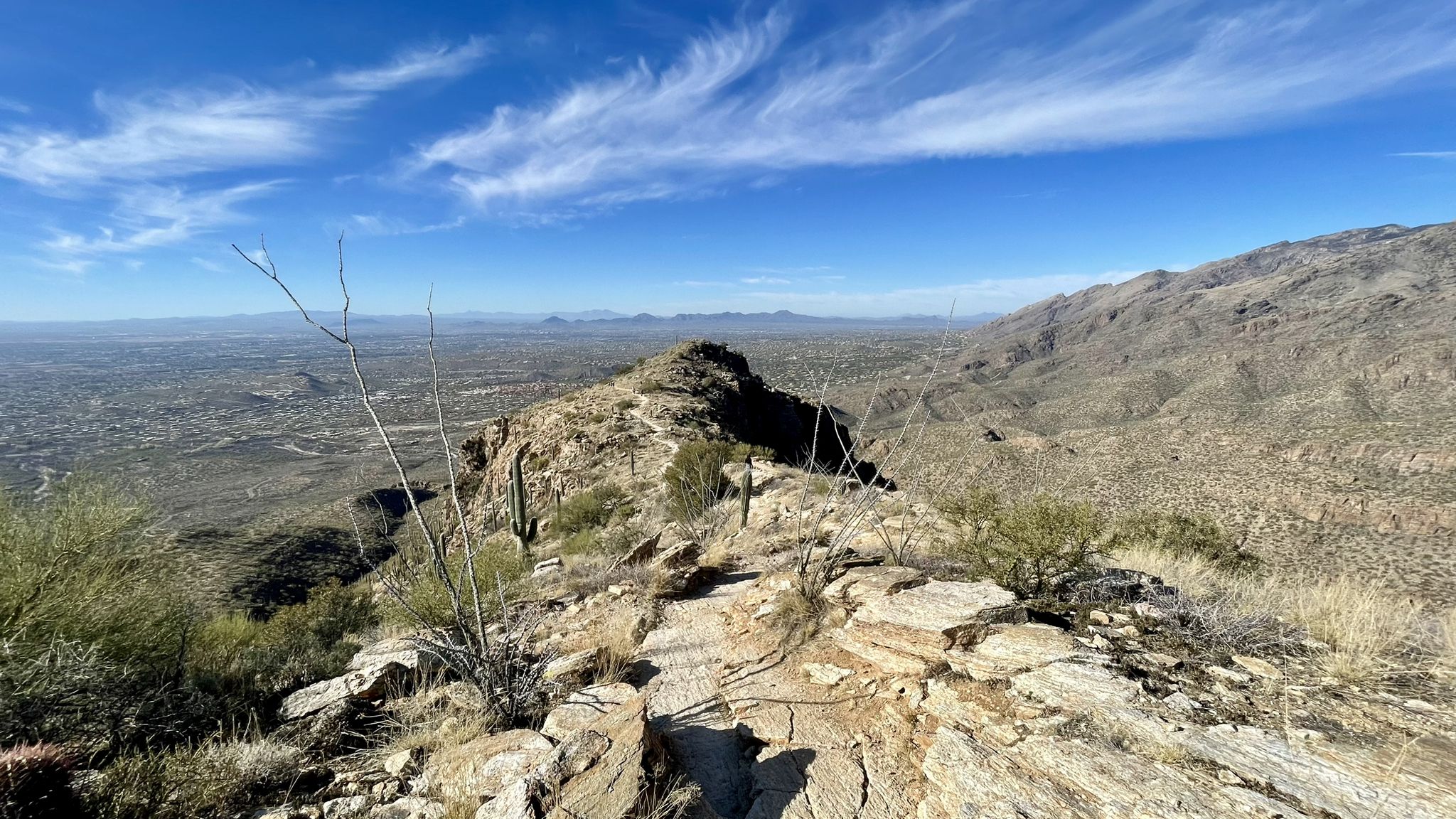Rocky desert trail winding along a mountain ridge under a blue sky. - Blackett's Ridge Trail