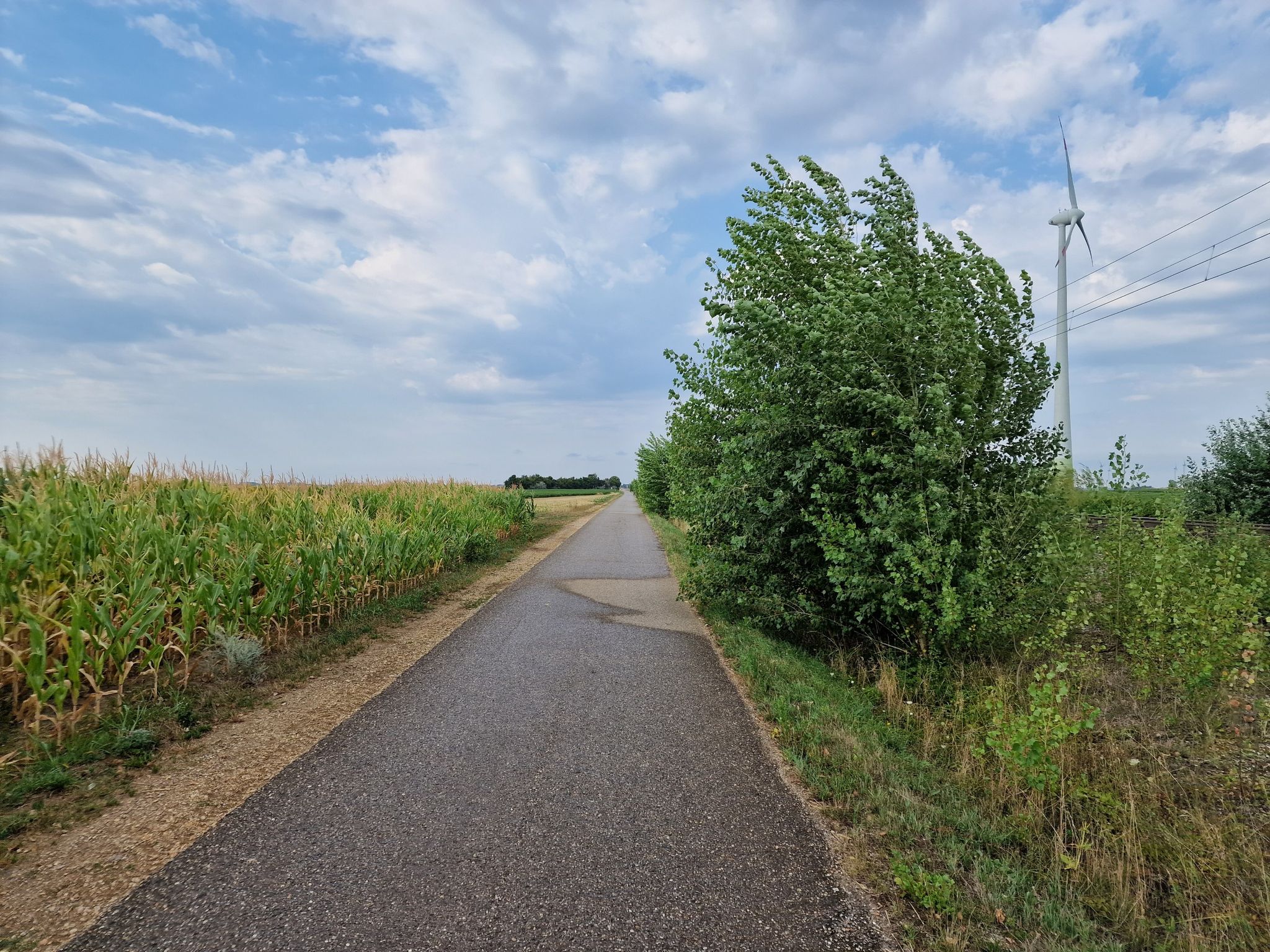 Wieder mal ein Stück am „Iron Curtain Trail“