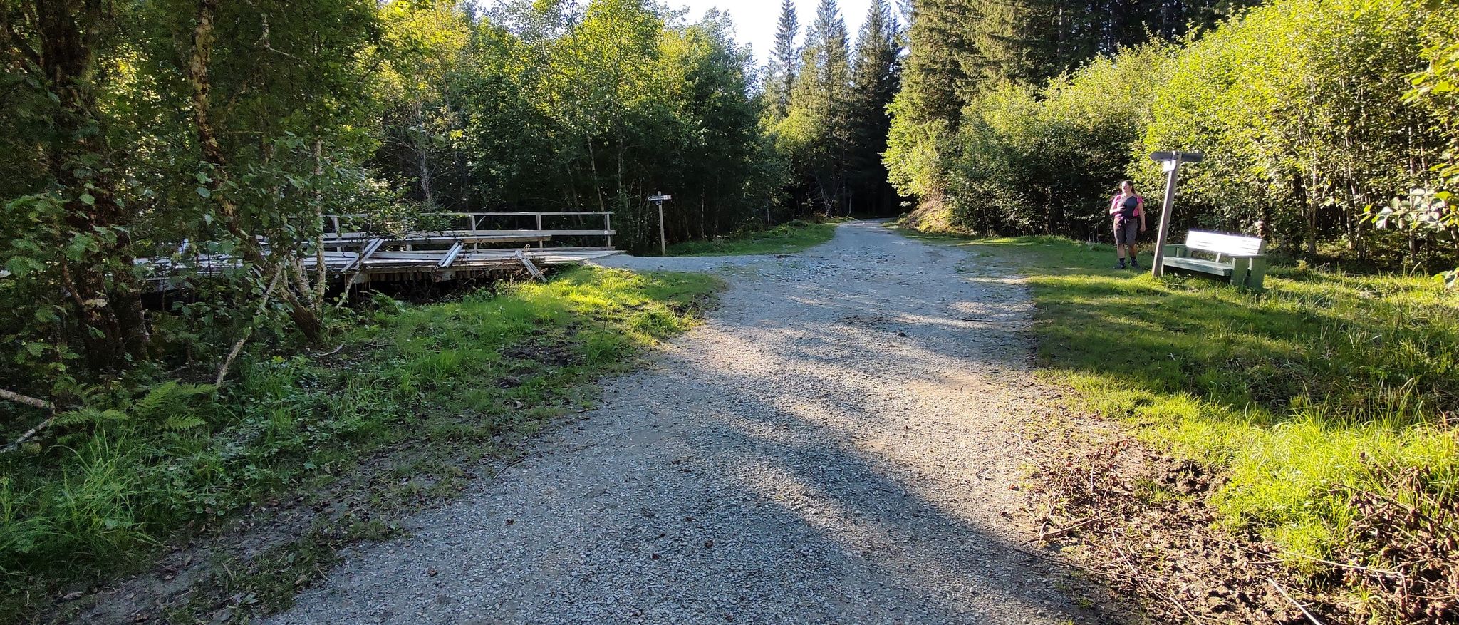 Down to Hommelvik
