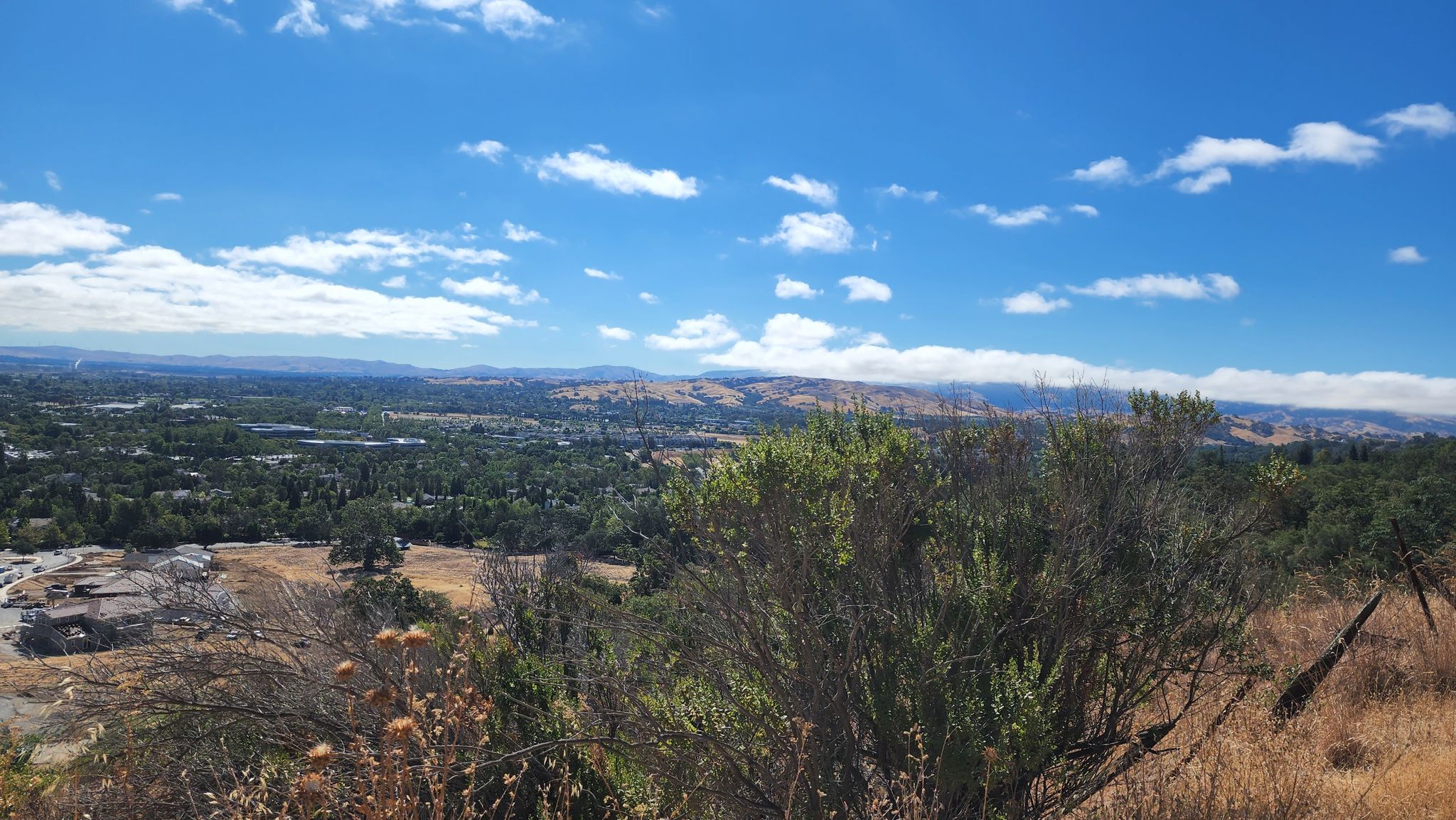 A wide view of a city and distant hills from a brushy foreground under a blue sky. - Courdet Trail – Pleasanton Ridge viewpoint loop from Foothill High School
