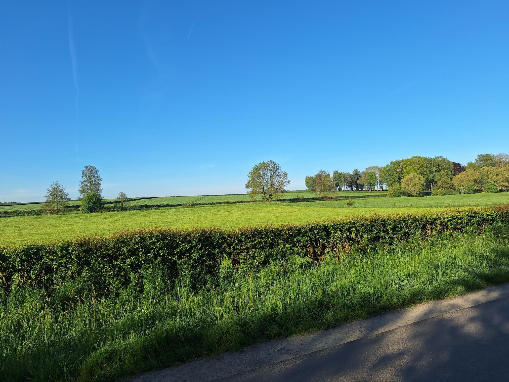 panorama